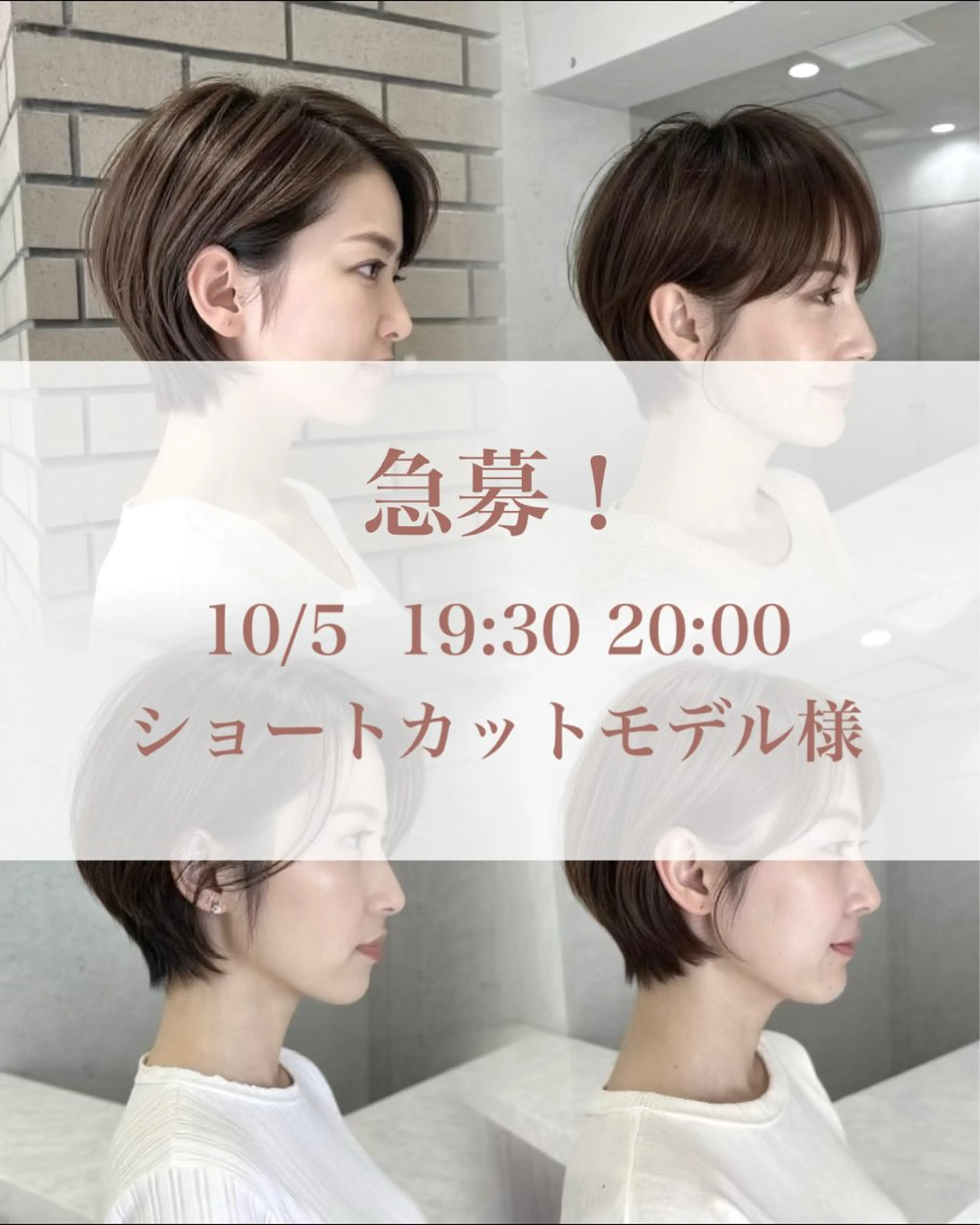 ショート カラー 渋谷 ショート特化のヘアスタイル