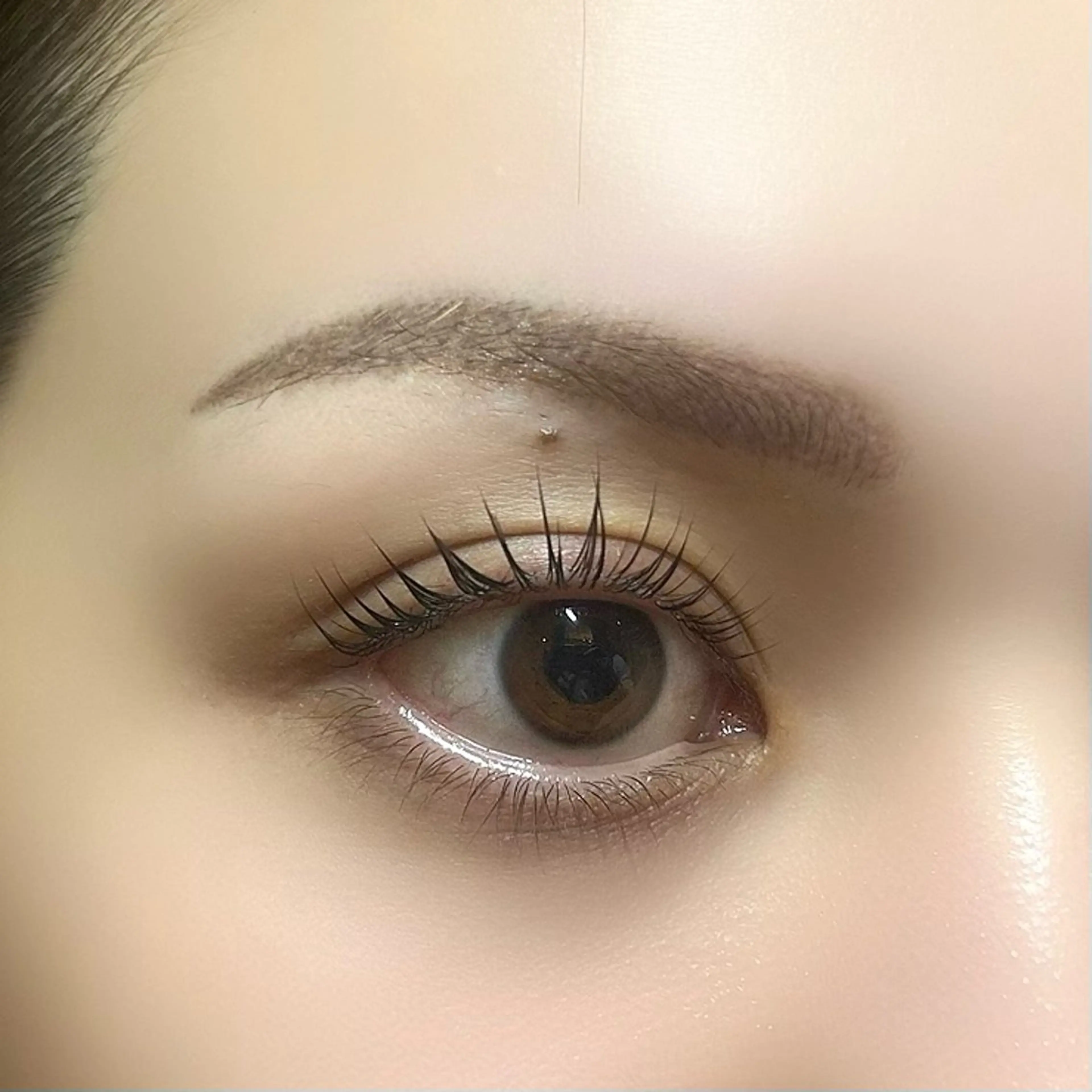 マツエク・マツパ 🌸アイリスト fujiwara🌸のマツエク・マツパデザイン