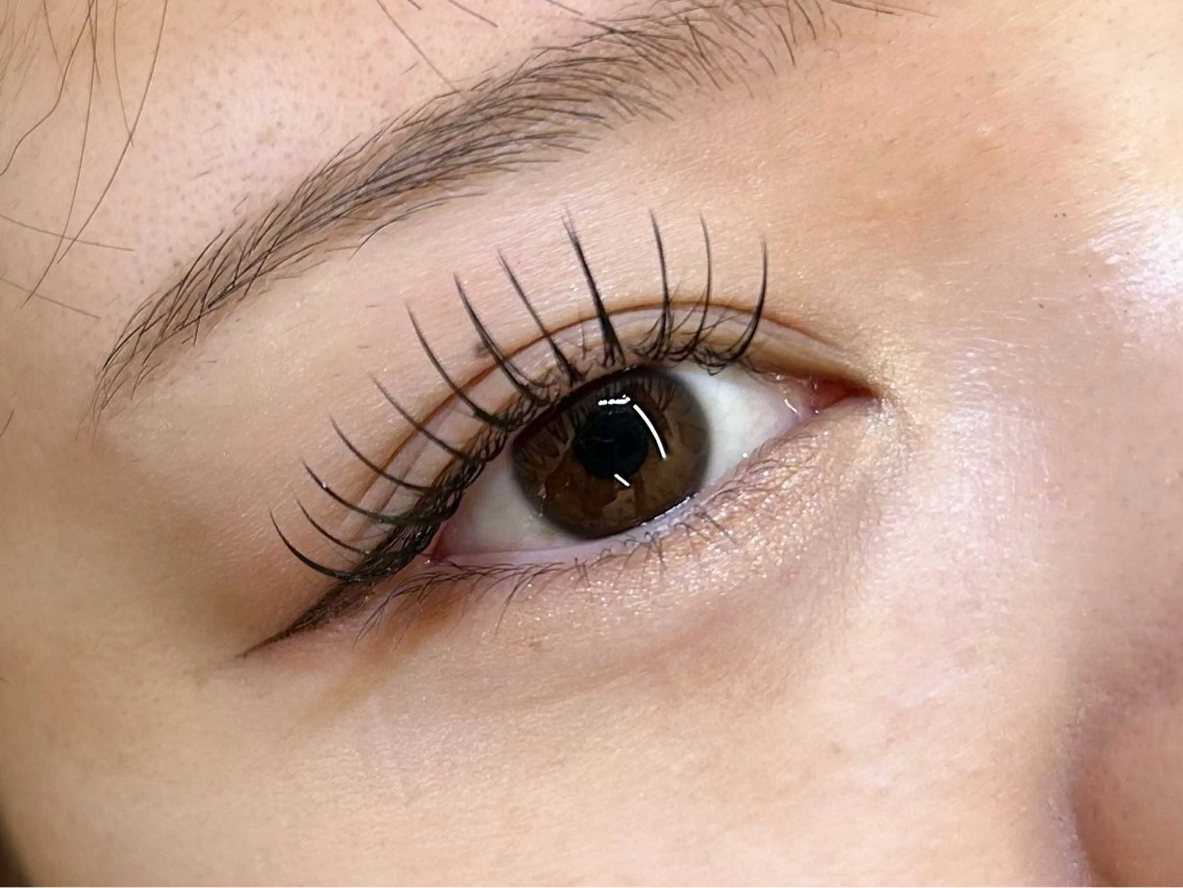 マツエク・マツパ フラットラッシュ マツエク SUNNY 二俣川 yuri🌷のマツエク・マツパデザイン