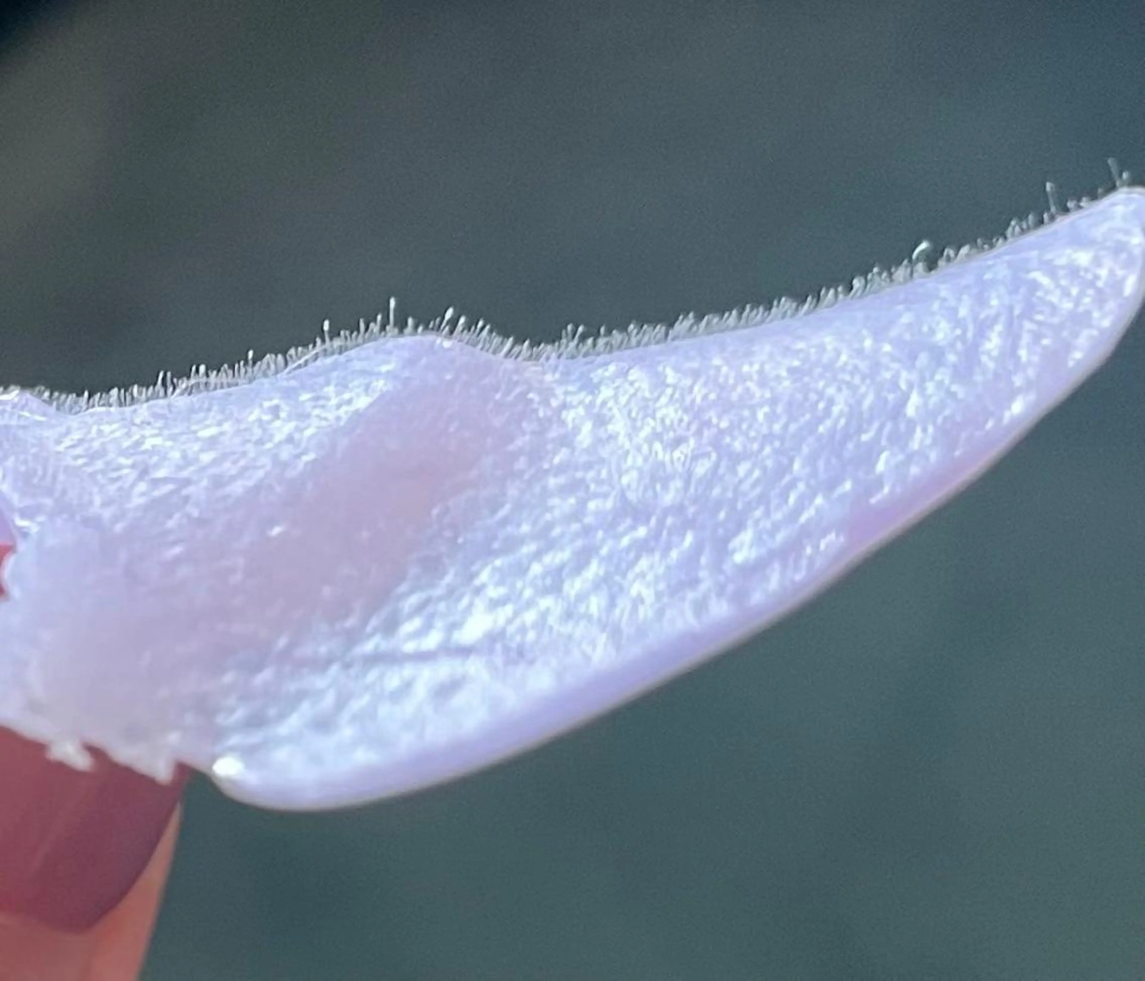 エステサロン Mi-mi.iのエステ・リラクイメージ