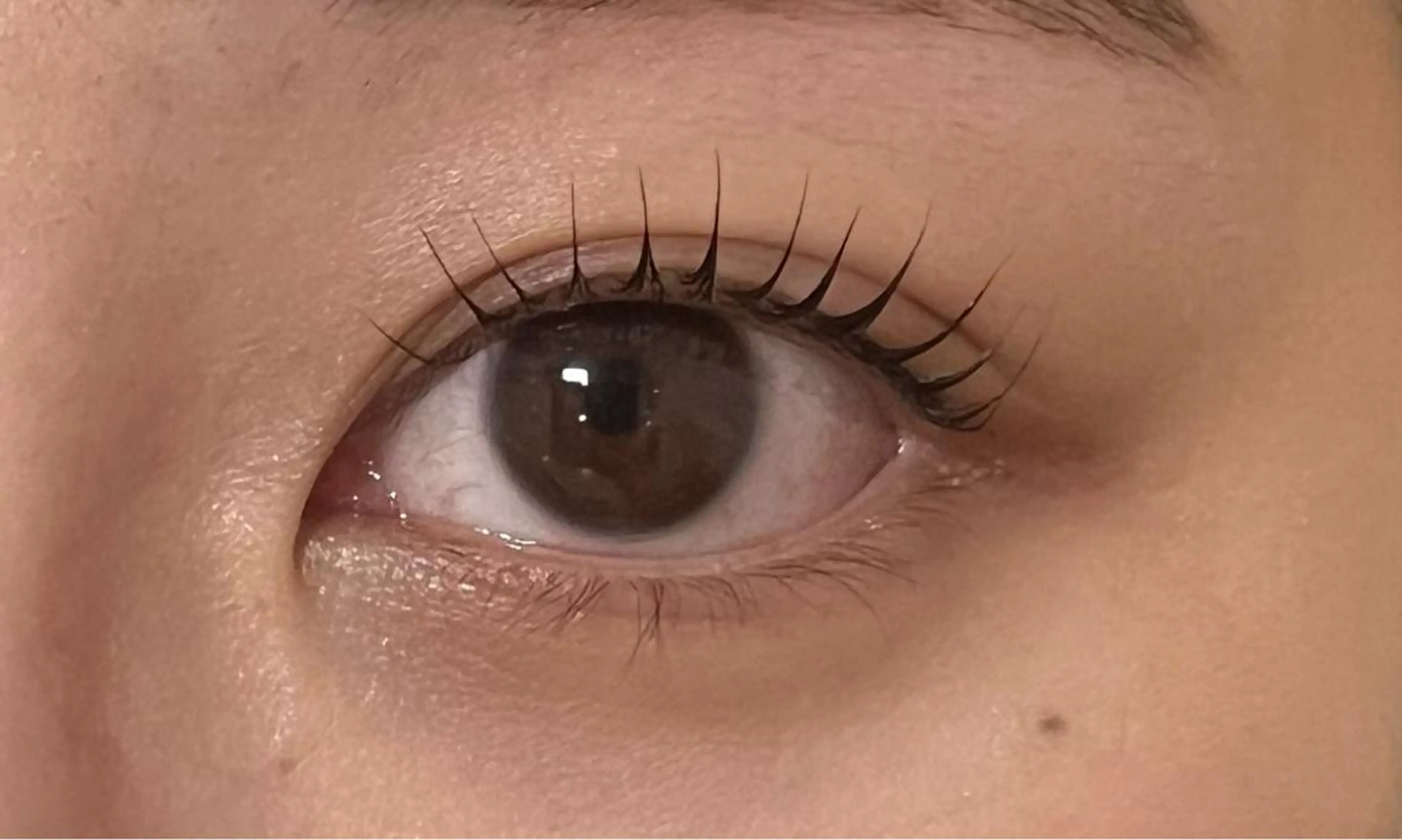 マツエク・マツパ anela shioriのマツエク・マツパデザイン