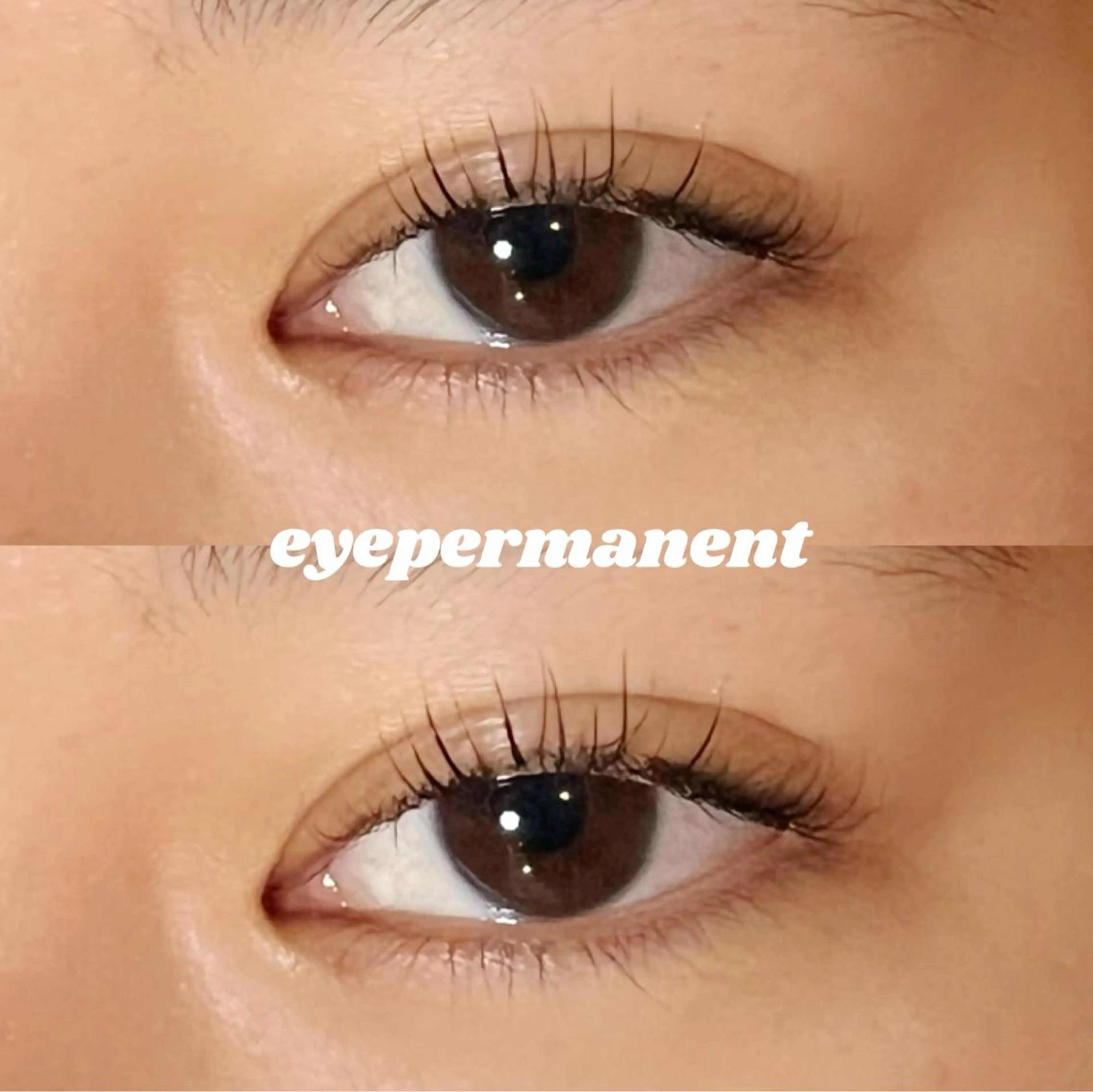 マツエク・マツパ mona 🎀韓国まつパ/眉毛のマツエク・マツパデザイン