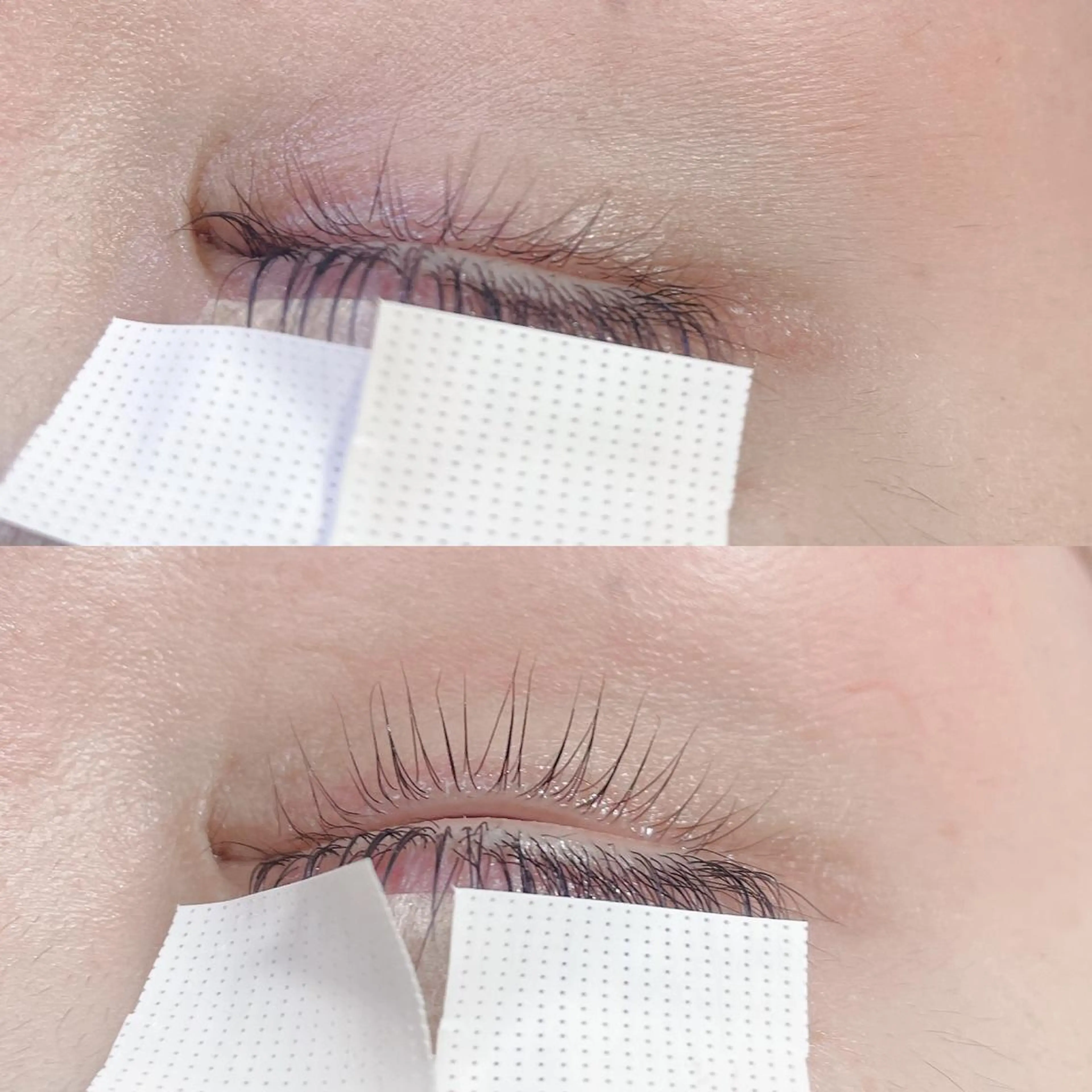 マツエク・マツパ まつげパーマ 下まつげエクステ マツパ ELEGAR 武蔵小杉のマツエク・マツパデザイン