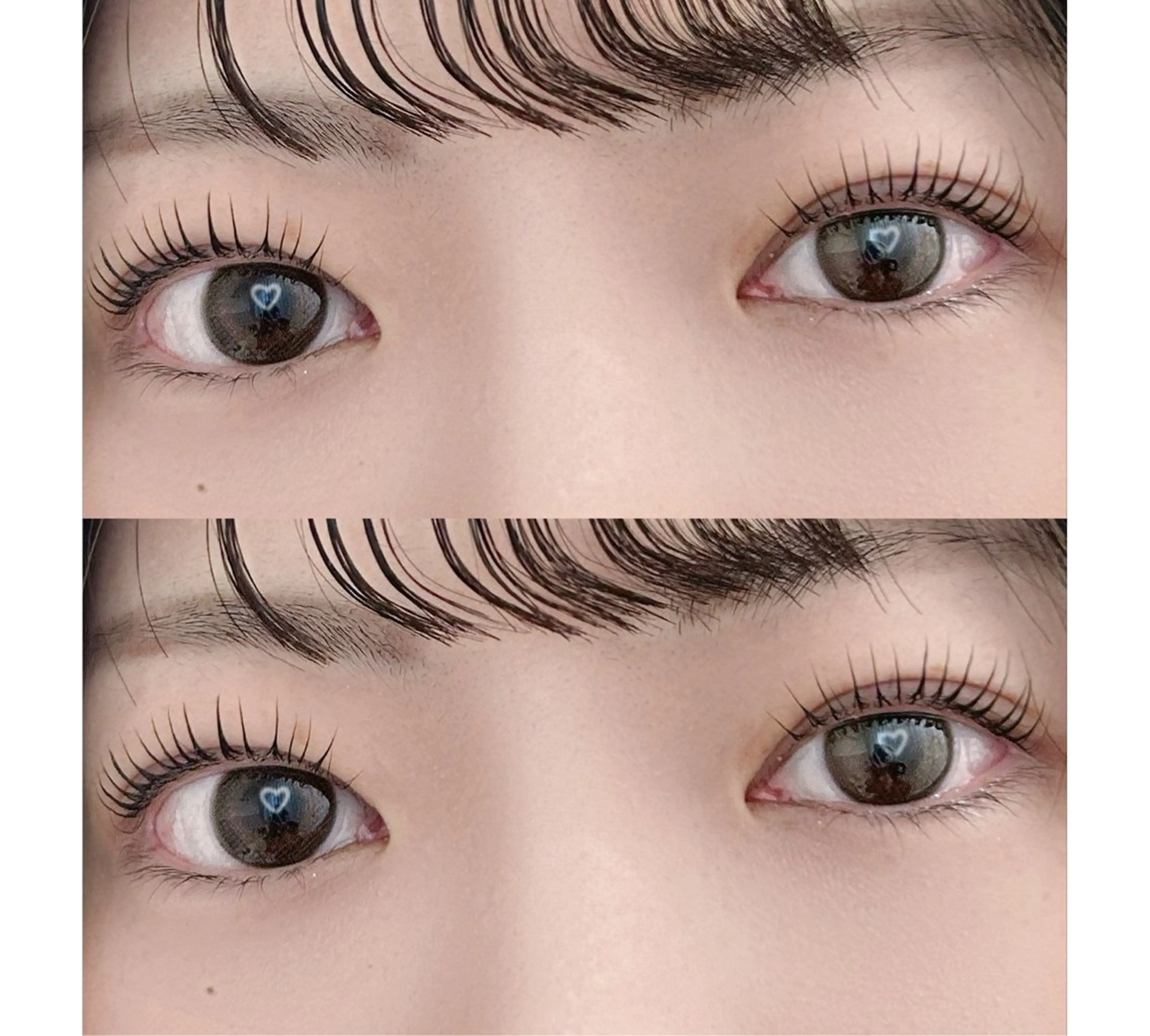 【新規】パリジェンヌラッシュリフト＋美容液コーティングの写真