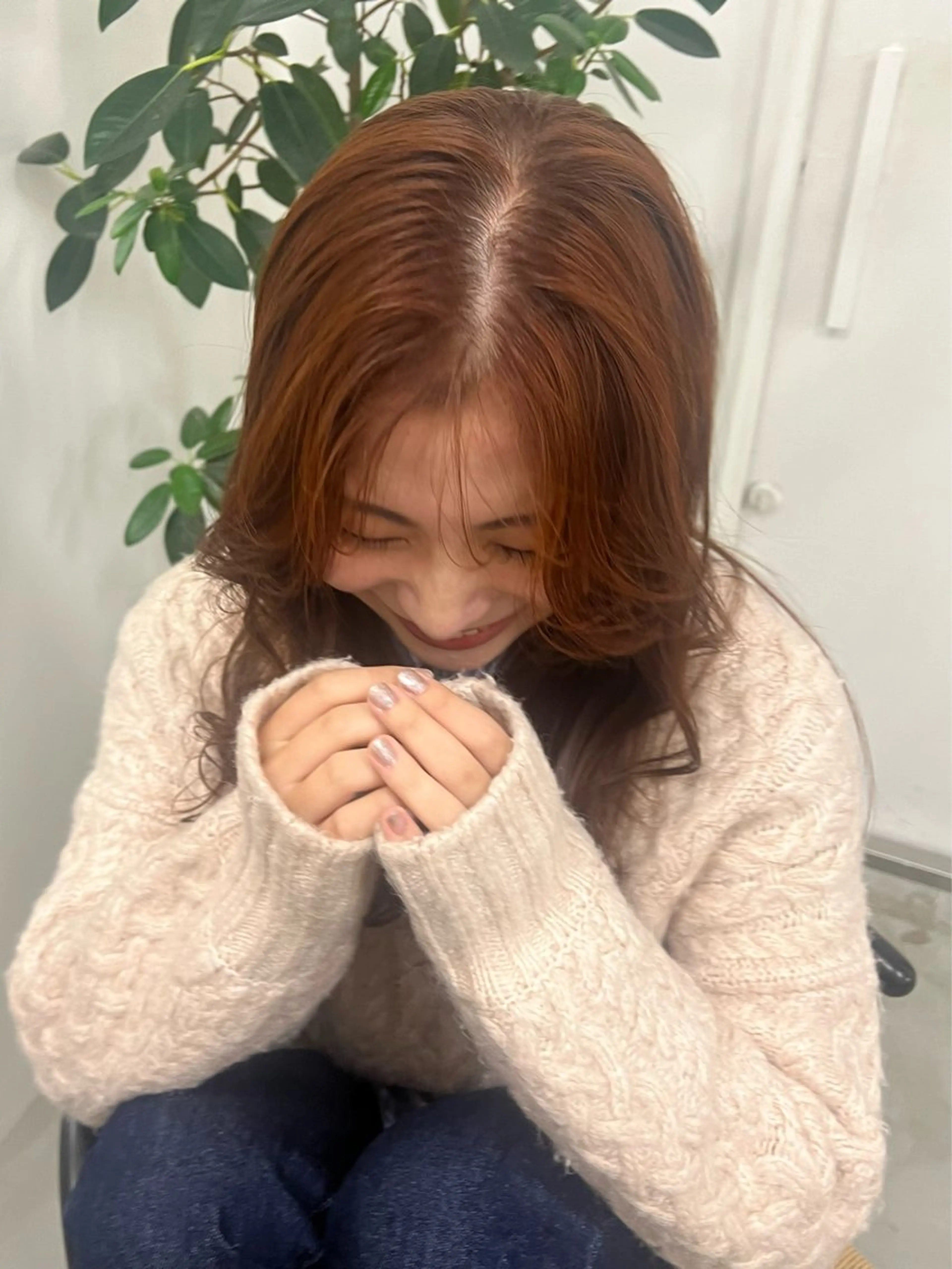 ワンカラーのみの写真