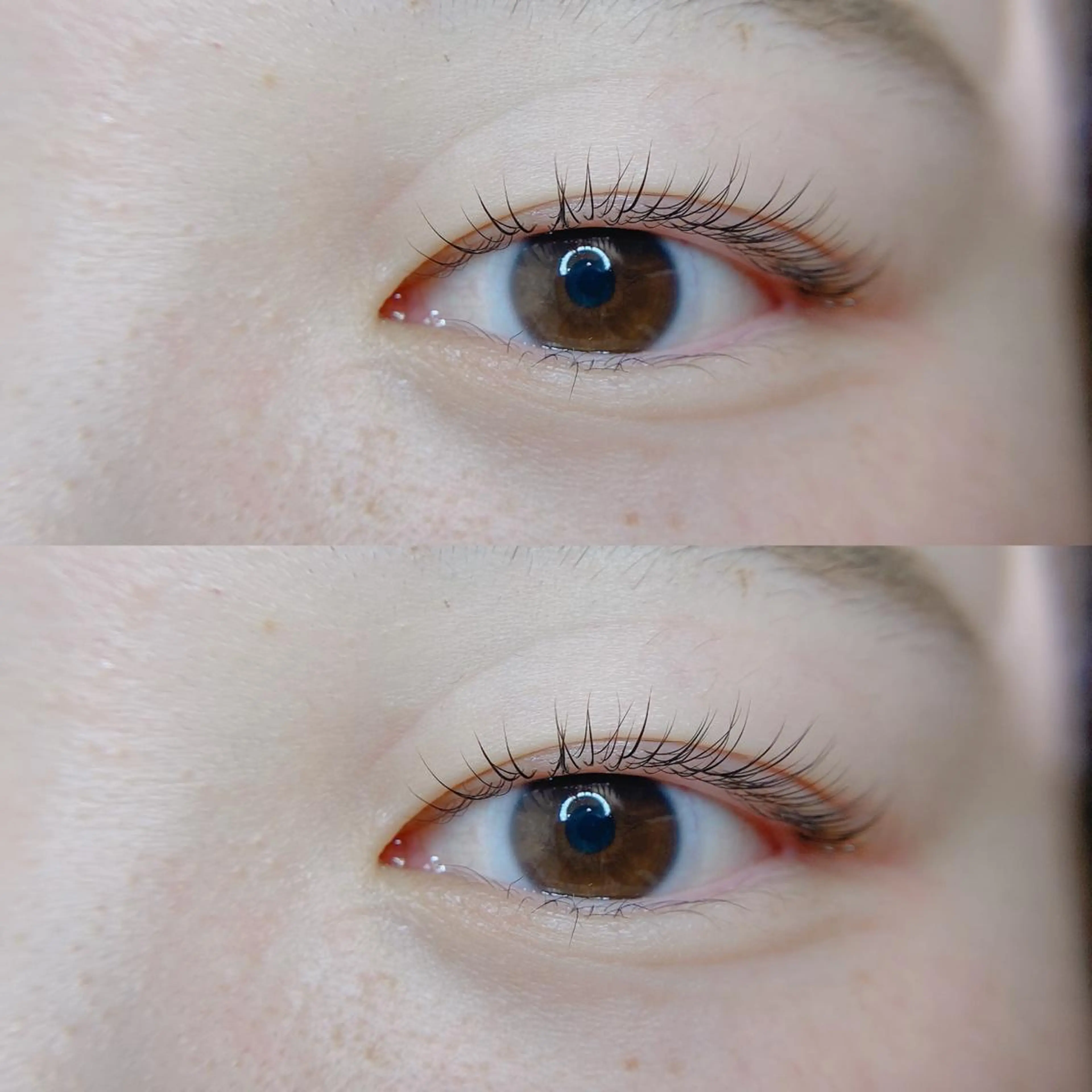 マツエク・マツパ まつげパーマ Neo店長🌿 KOTONO🌿のマツエク・マツパデザイン