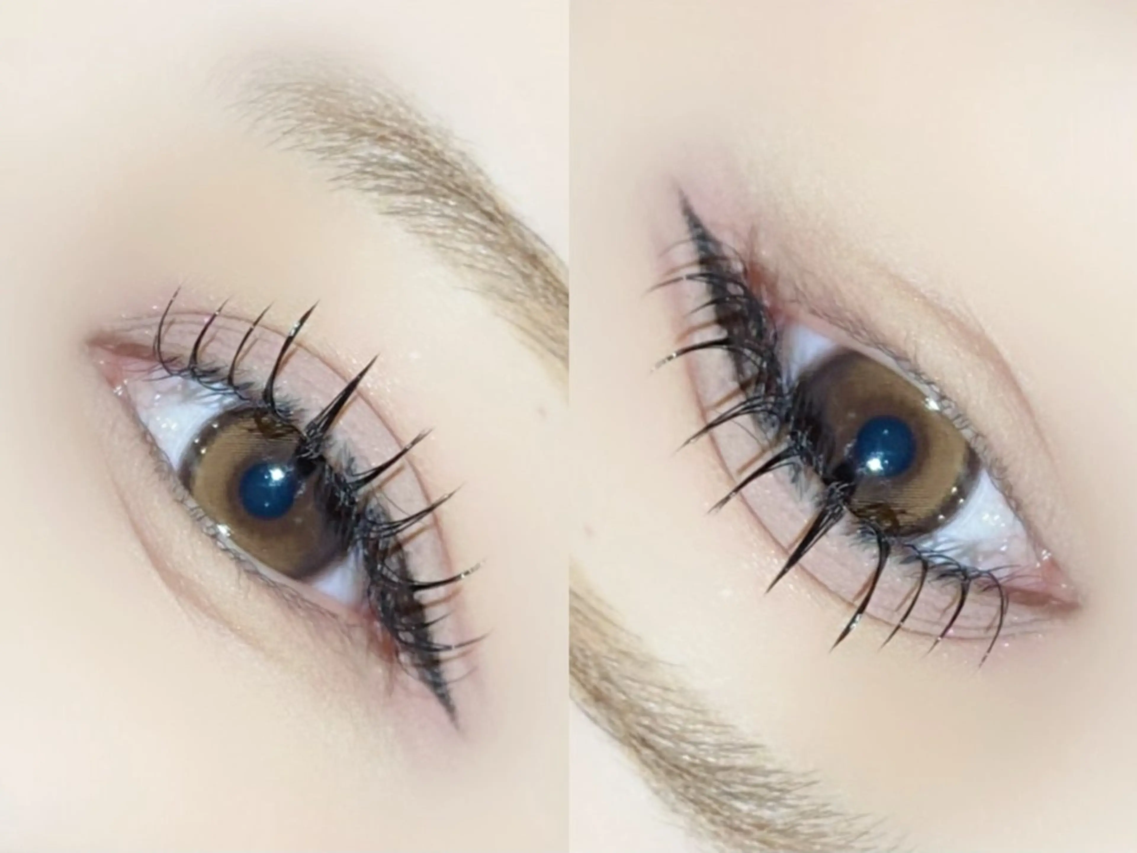 アップワードラッシュ⭐️100本🌱美容液コーティング付き🪽の写真