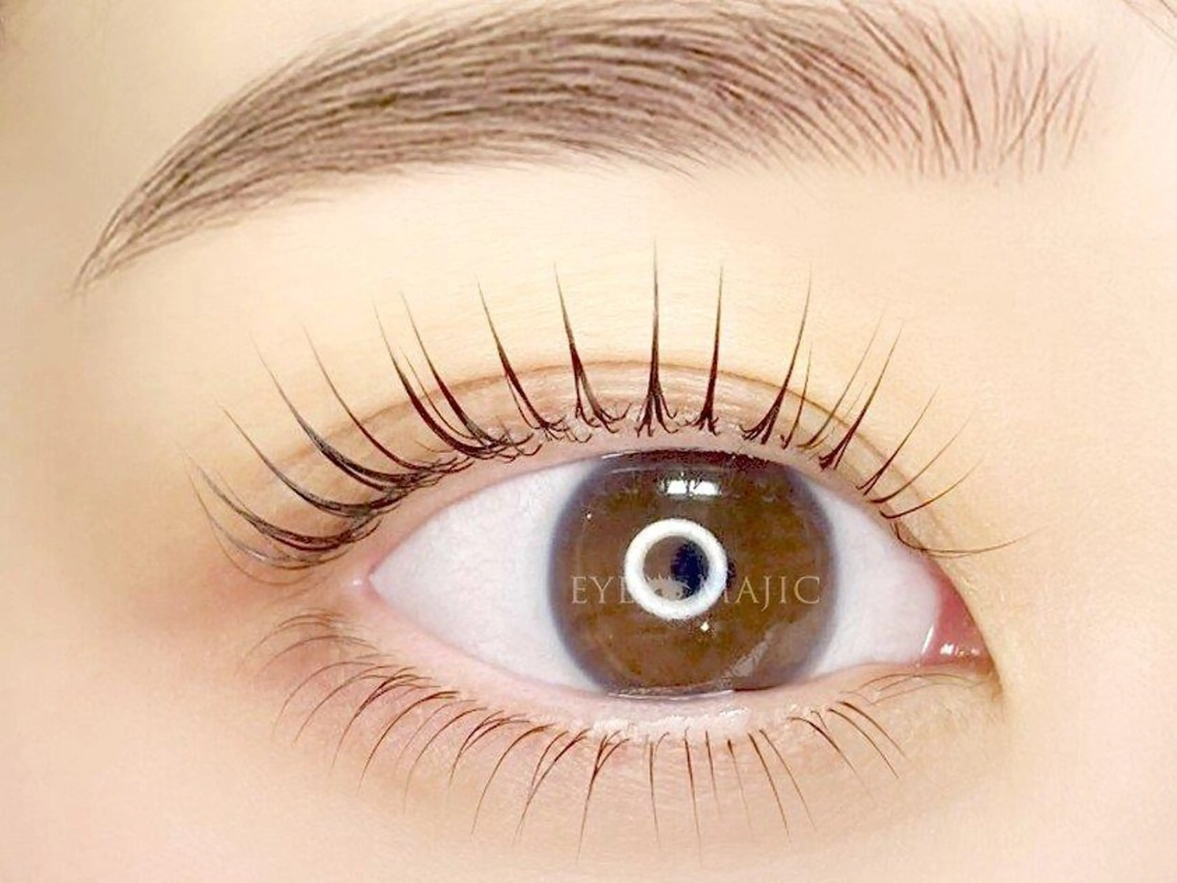 🤍🌼【上パリジェンヌラッシュリフト】※10分遅れますとキャンセルになります。の写真