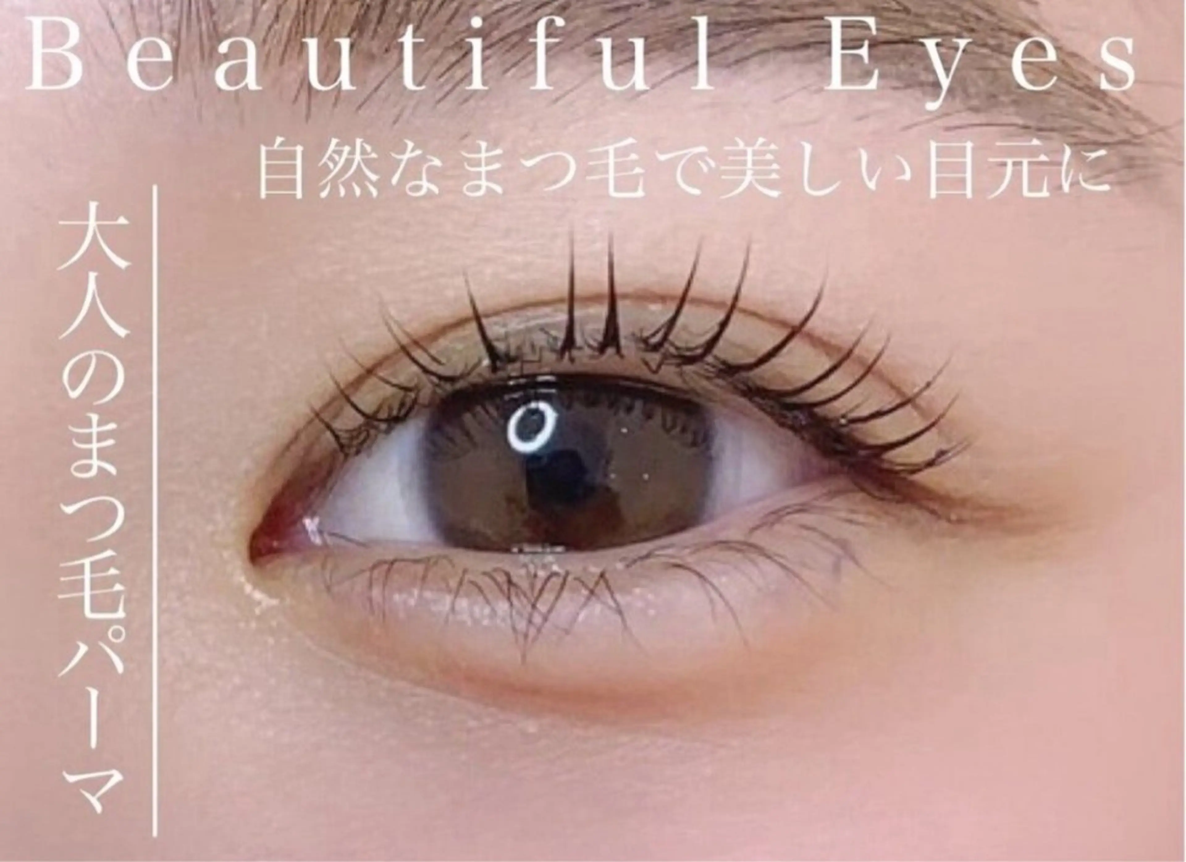 【本日限定❣️初回のみクーポン】まつげパーマ+高級コーティング付き🩵🌷の写真
