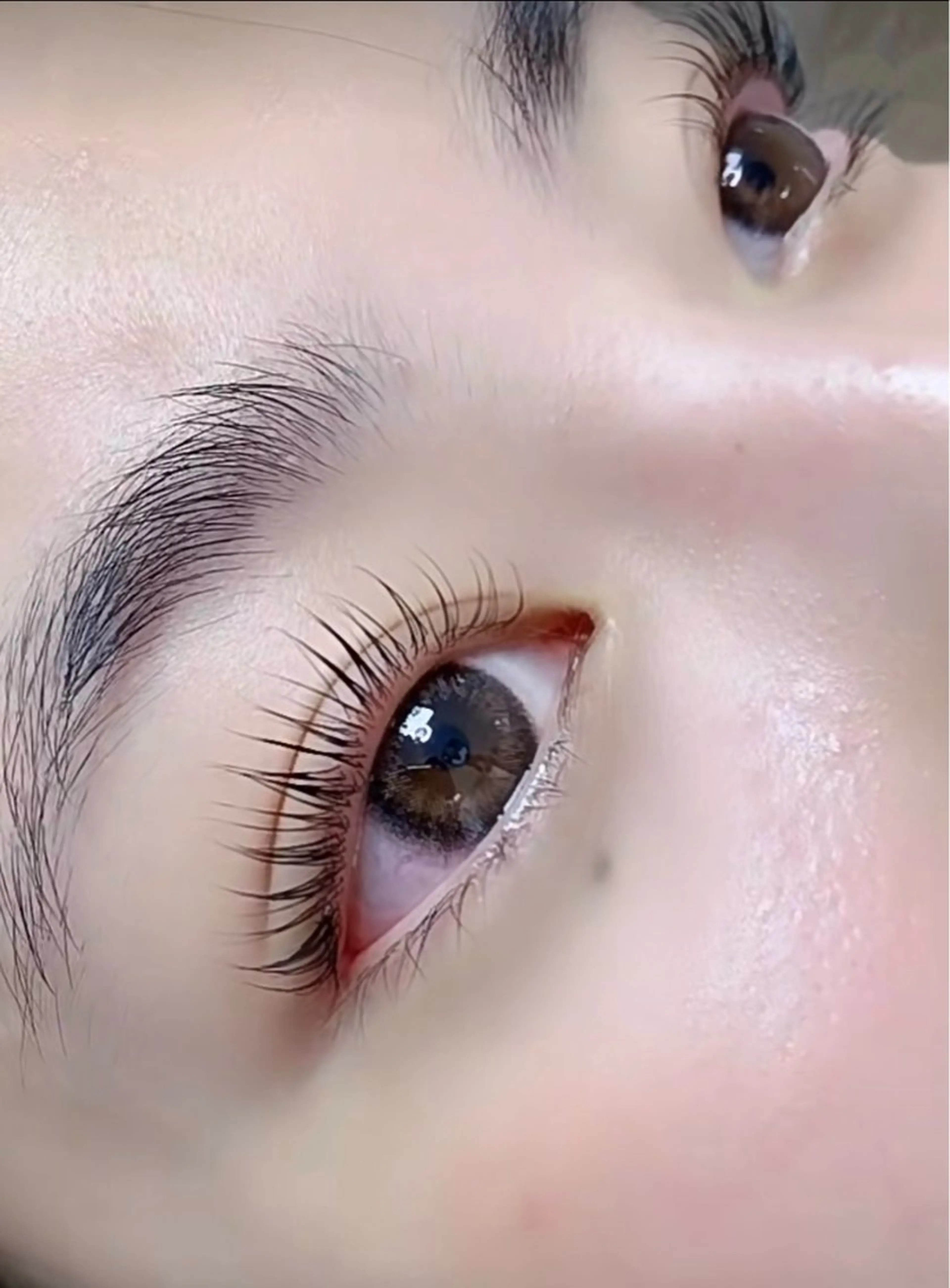 🌹自まつ毛負担無し、フラットラッシュ100本 4500円の写真