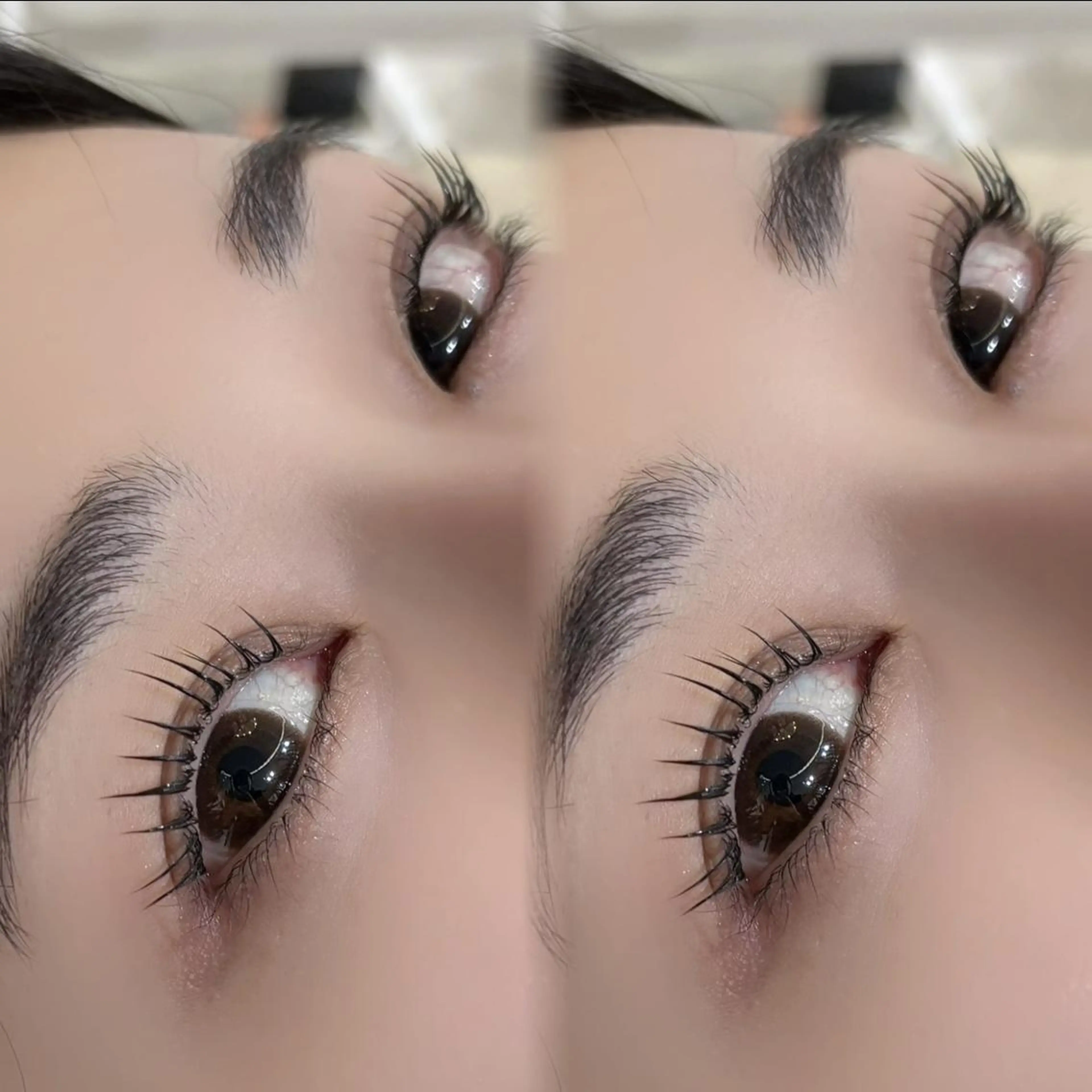 【4月平日インスタフォロワー様限定クーポン】マツパ+全体トリートメントの写真