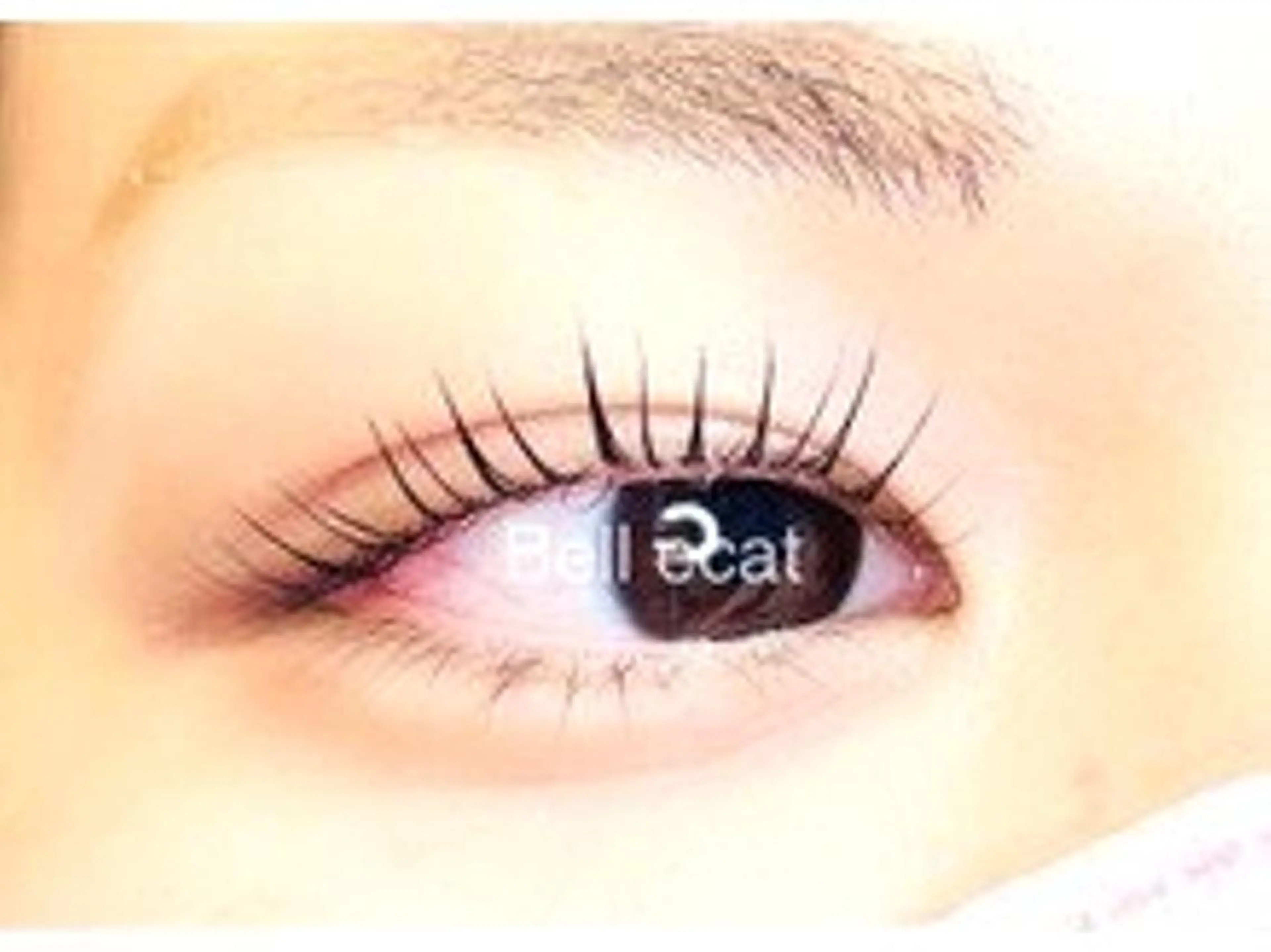 マツエク・マツパ ベルキャット Ａのマツエク・マツパデザイン