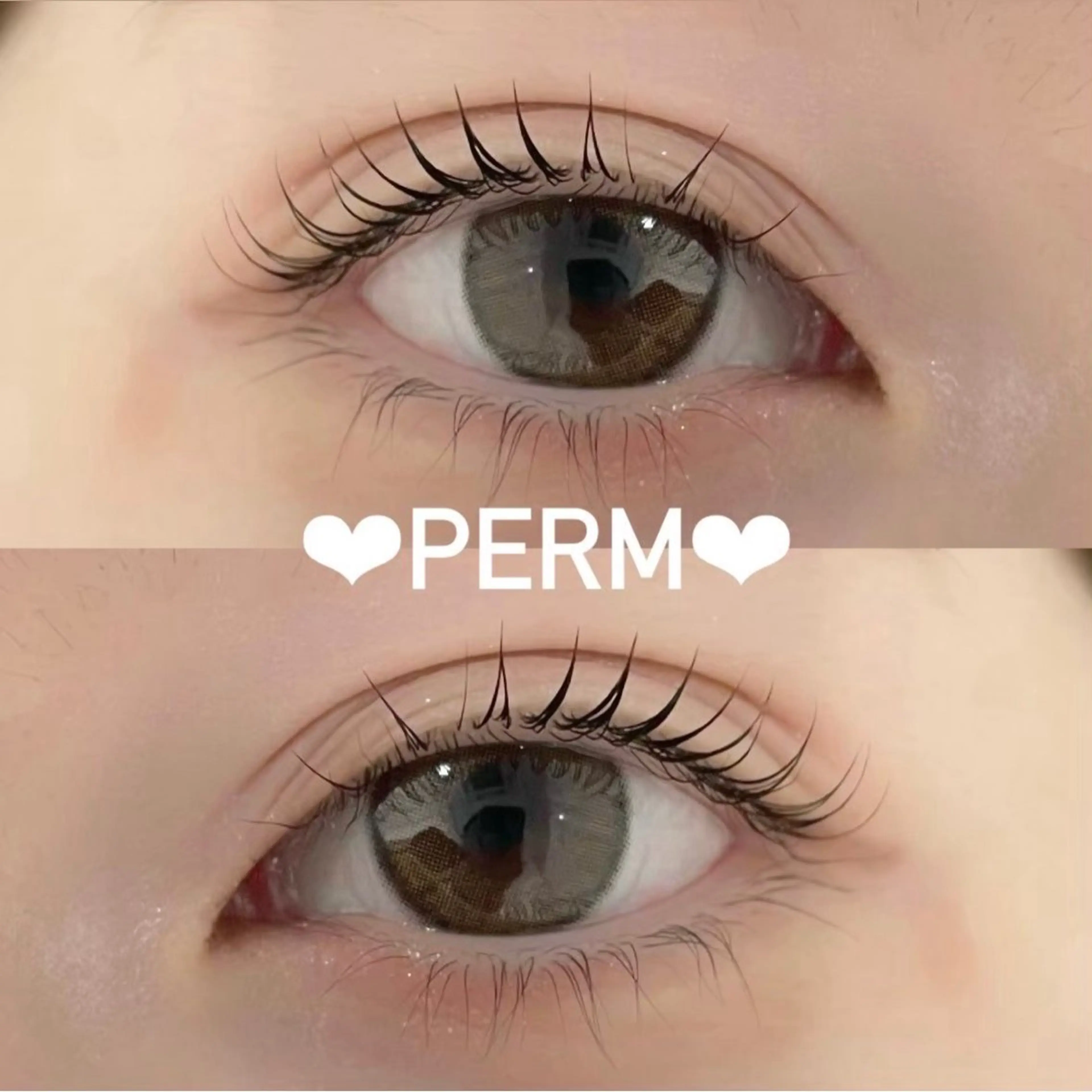 💛🌼ご新規様限定🌼💛【プレミアム】潤いまつ毛パーマ👀の写真