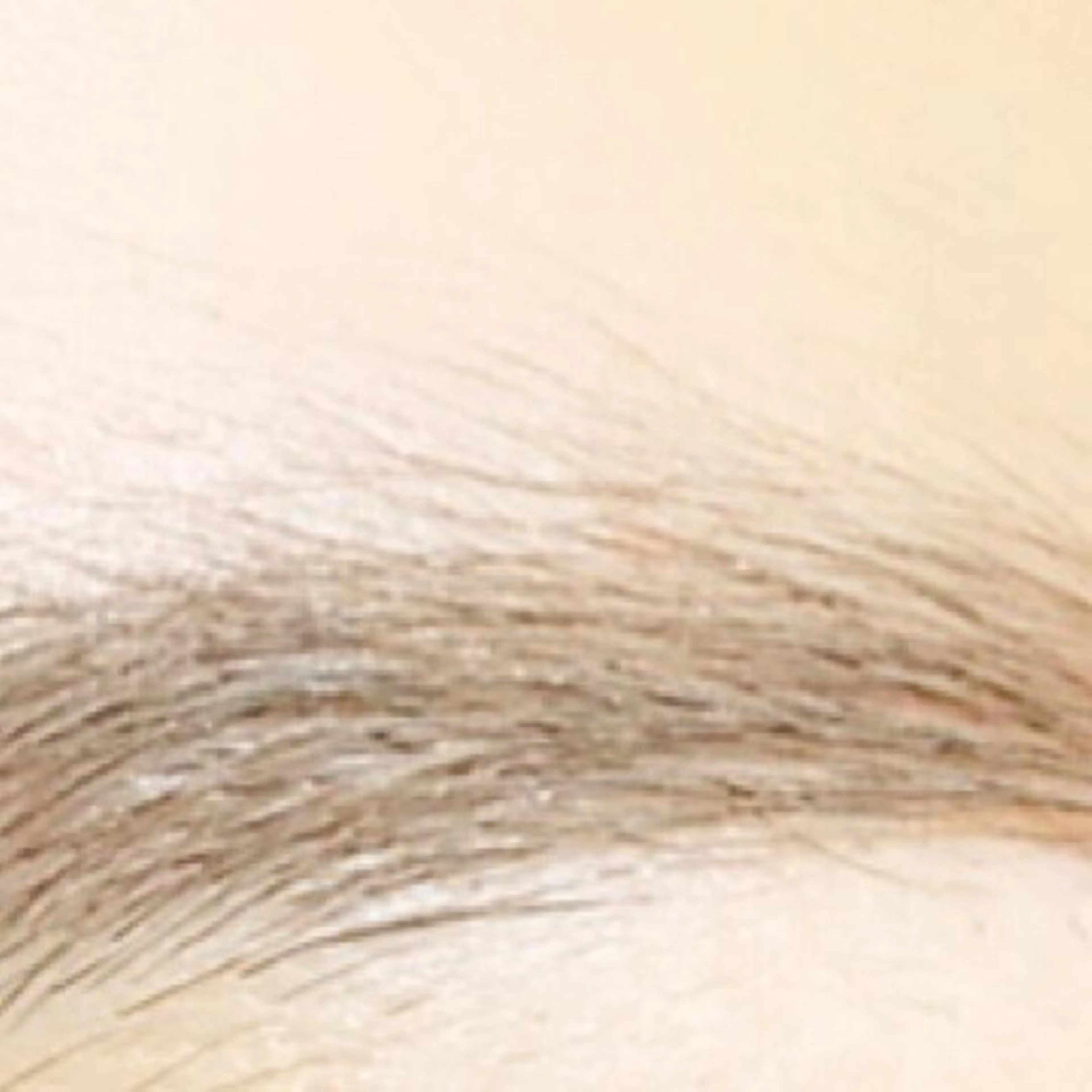 マツエク・マツパ eyelash- r🌹の眉毛・アイブロウイメージ