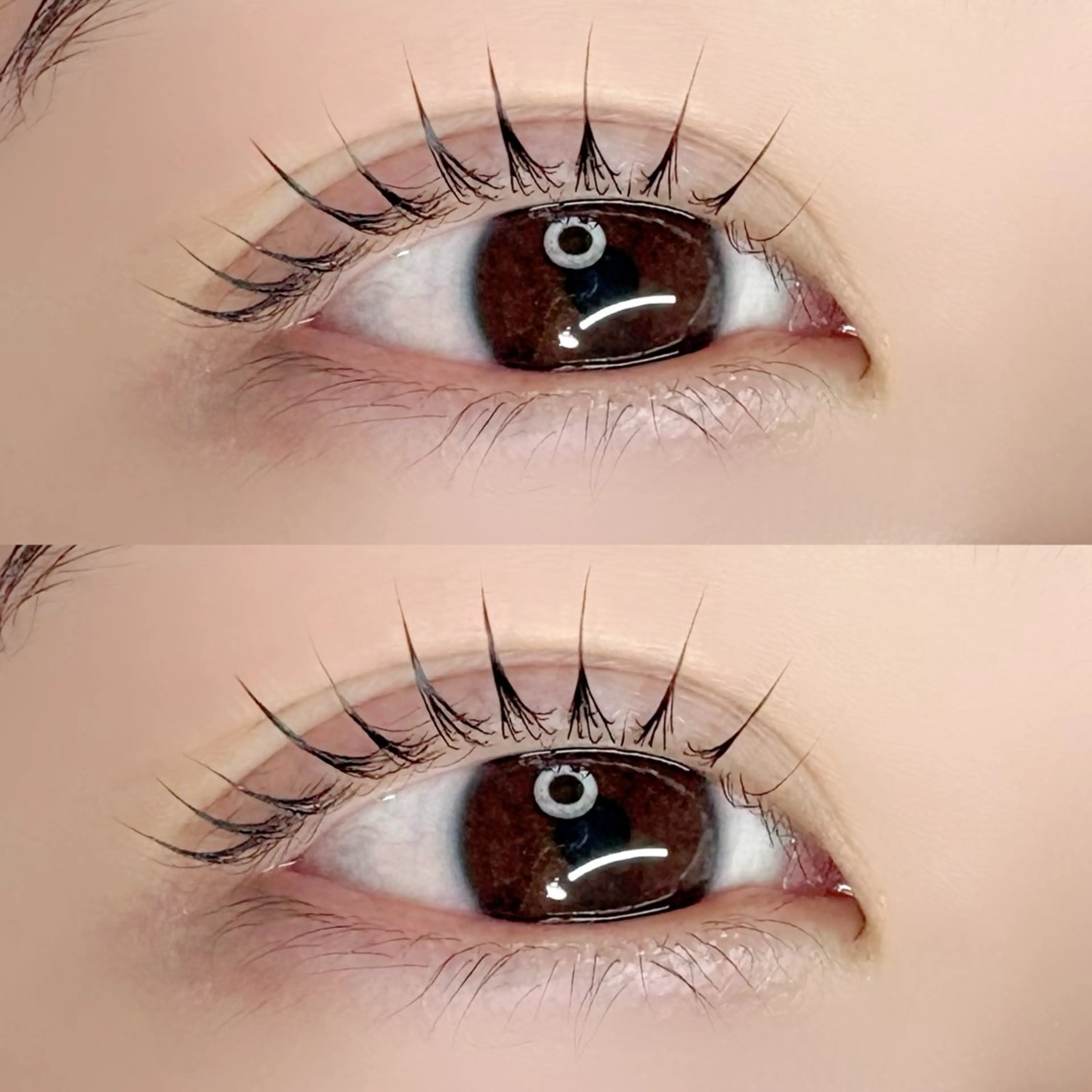 マツエク・マツパ マツパ Chisato🤍池 袋/マツパ/マツエクのマツエク・マツパデザイン