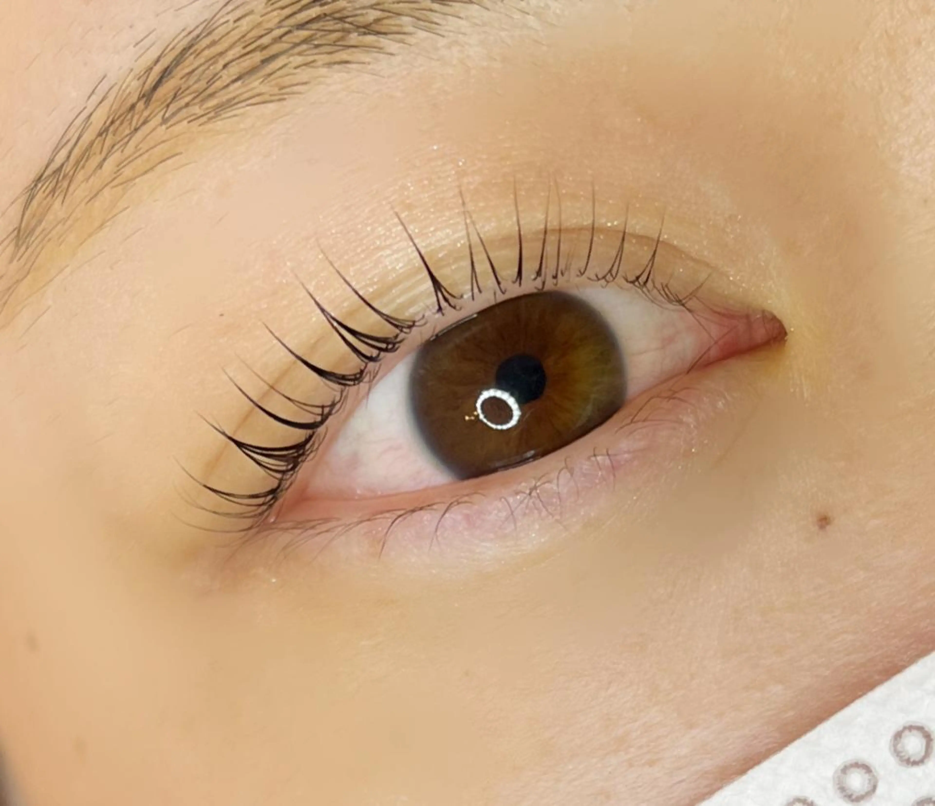 マツエク・マツパ 《eyelash ｉｉｔｅ》森のマツエク・マツパデザイン