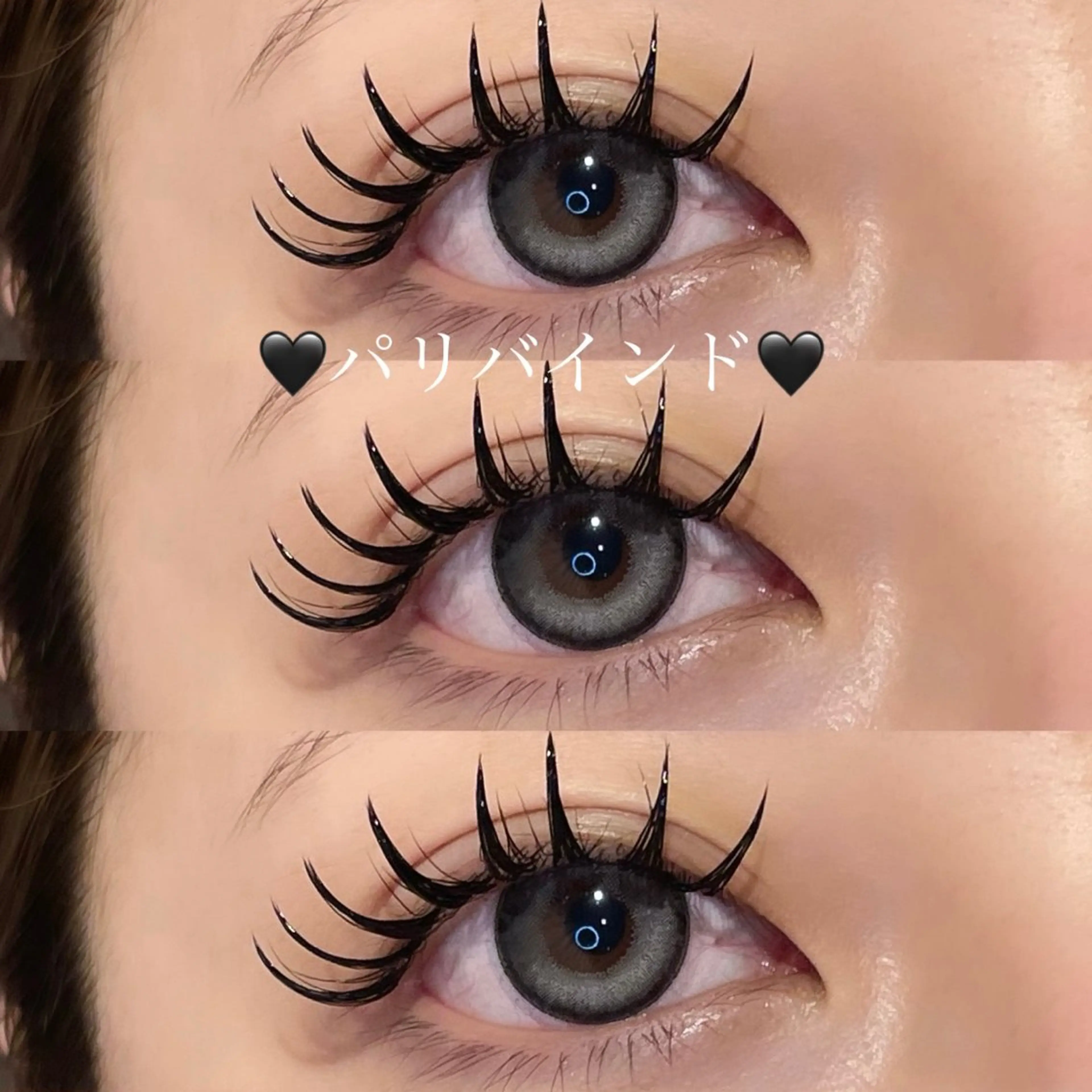 🪄パリバインド🪄【100〜140束】の写真