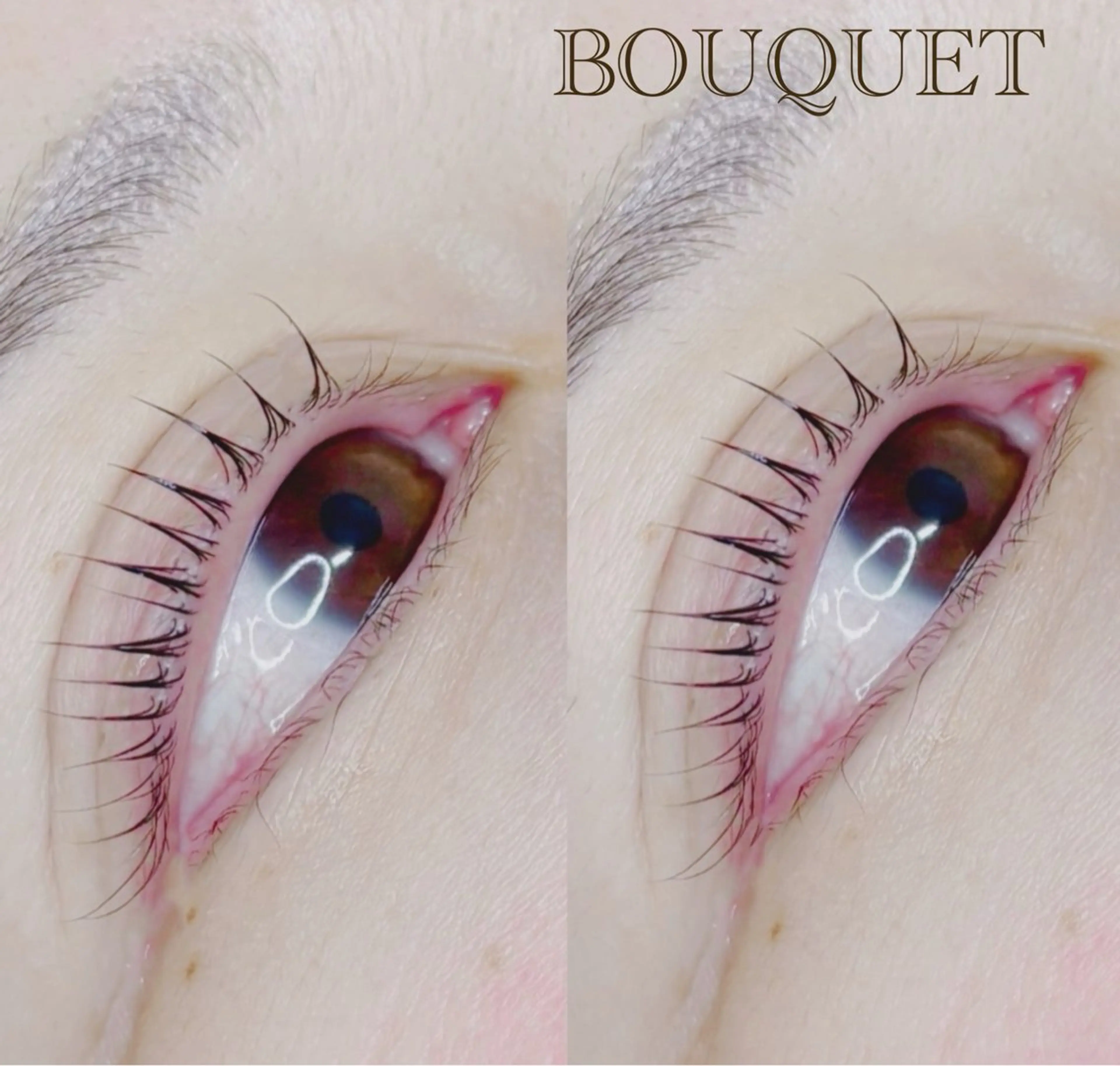 ️‎🎀まつ毛パーマ𝐚𝐧𝐝アイブロウWAX🎀セットメニューの写真