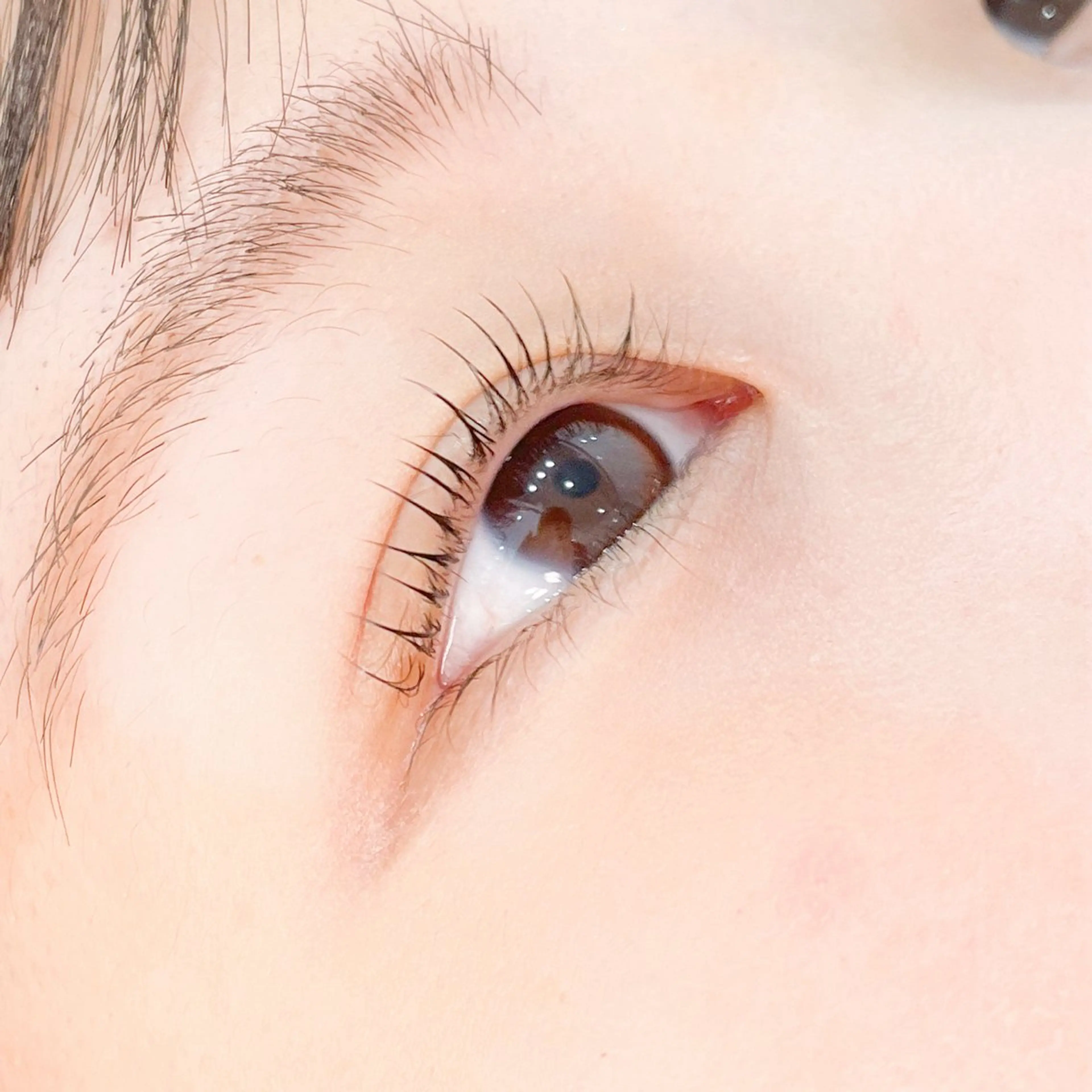 マツエク・マツパ Dew by lash所属・柳田 Dewbylashのマツエク・マツパデザイン