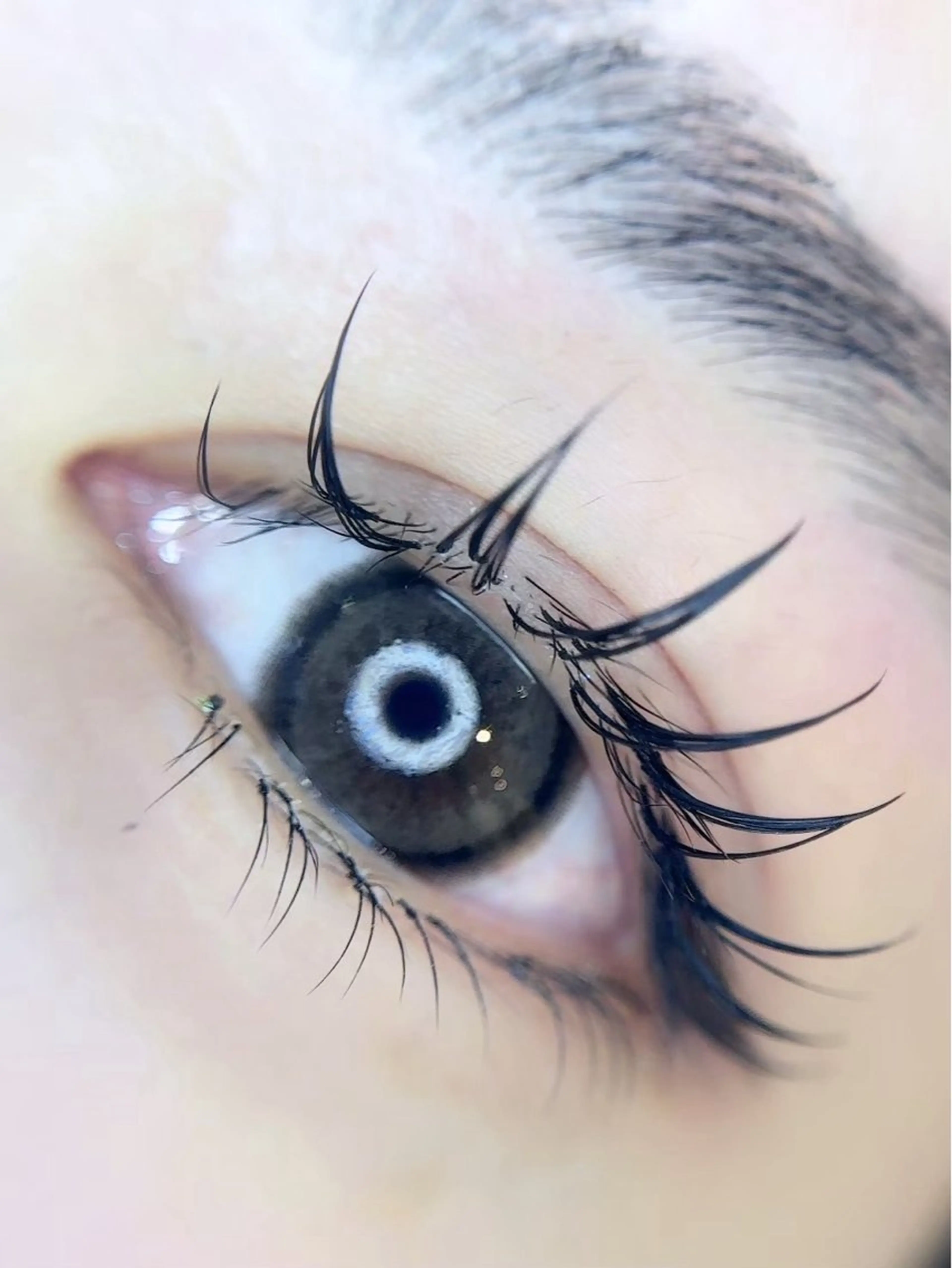 今限定下まつげエクステ30本(片目15本)♡⃛🦋.*˚[上まつ毛と併用可⚠️別途料金かかります‼️]の写真