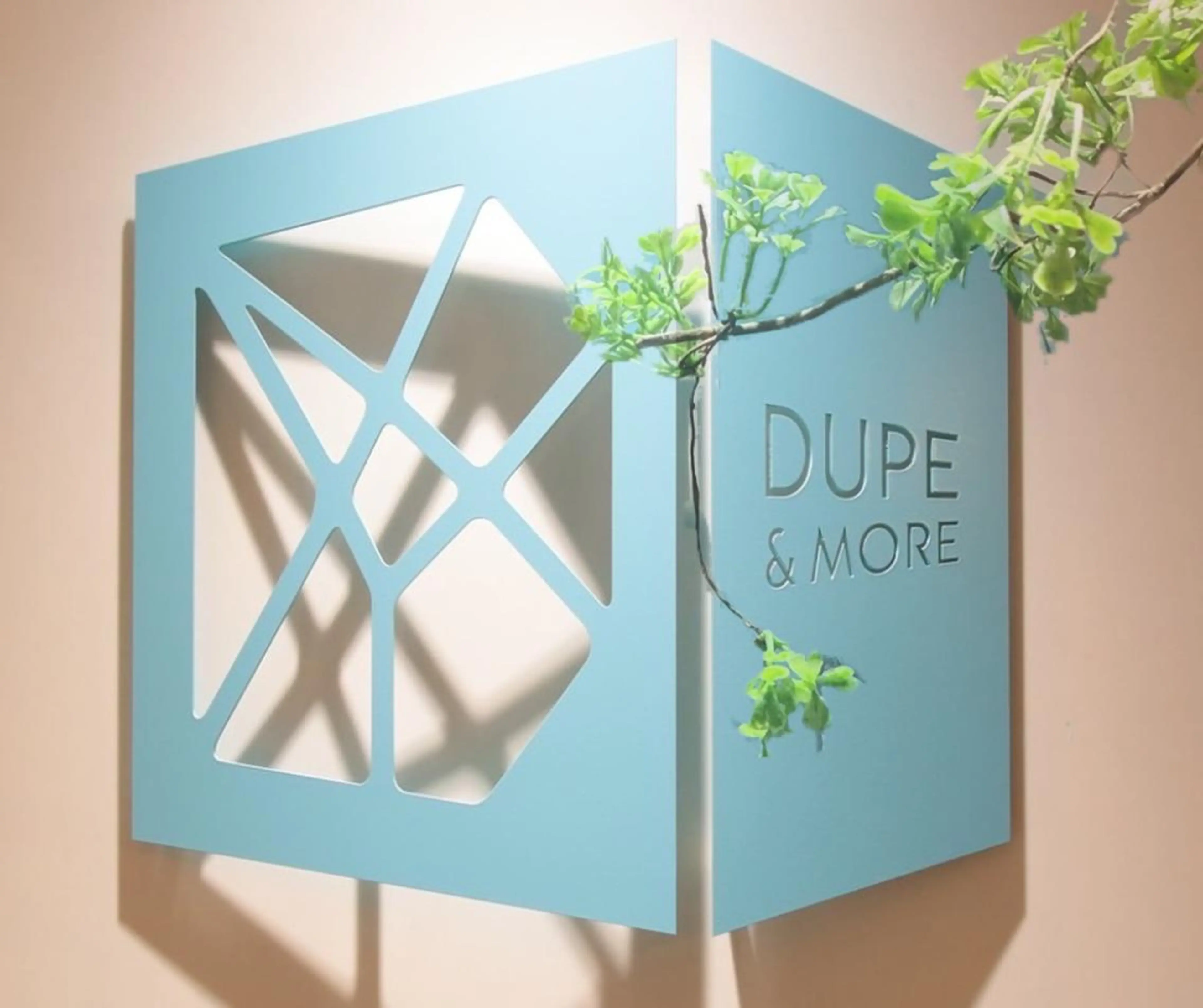 DUPE&MORE所属・DUPE&MORE 店長kanaeのエステ・リラクイメージ