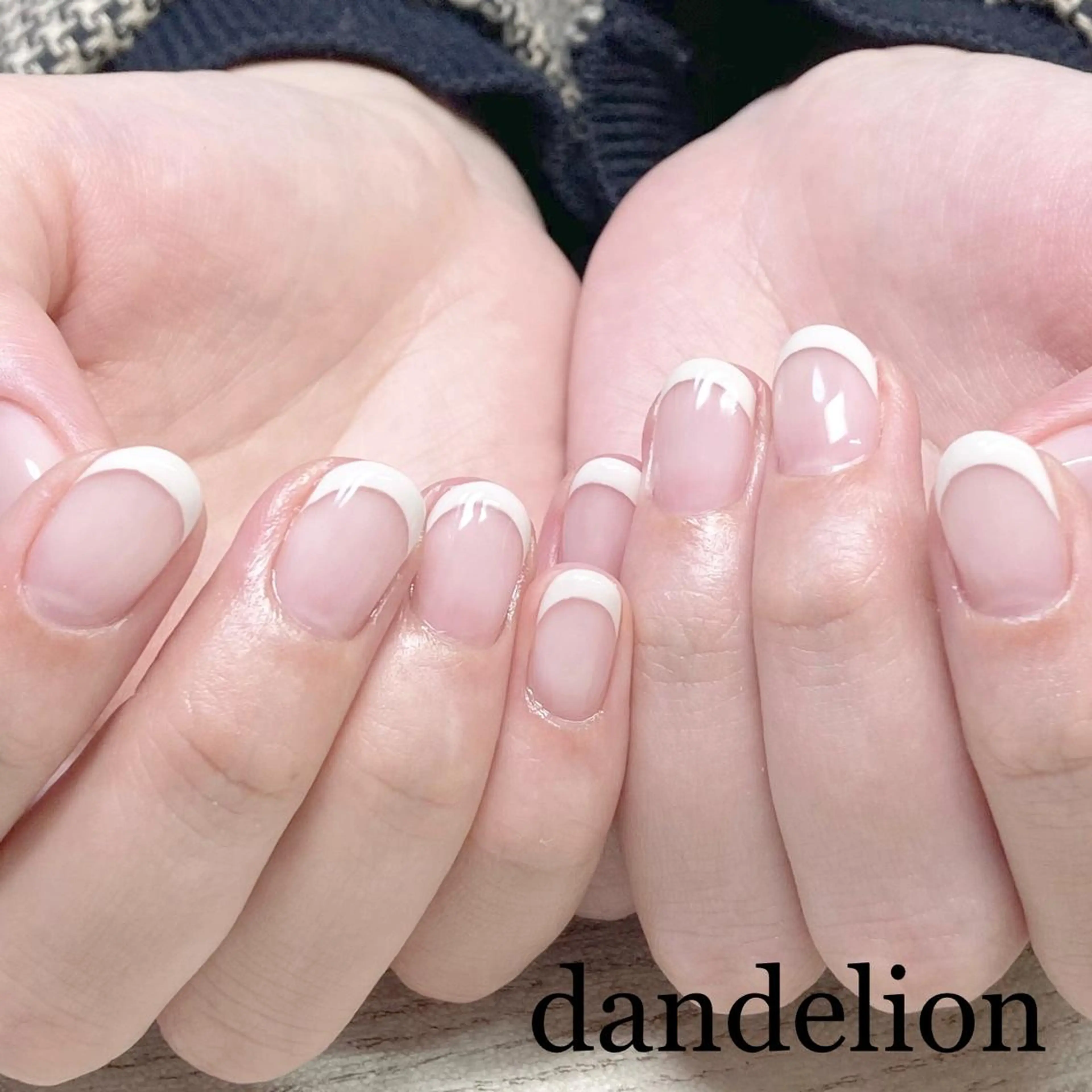 オフなしフレンチの写真