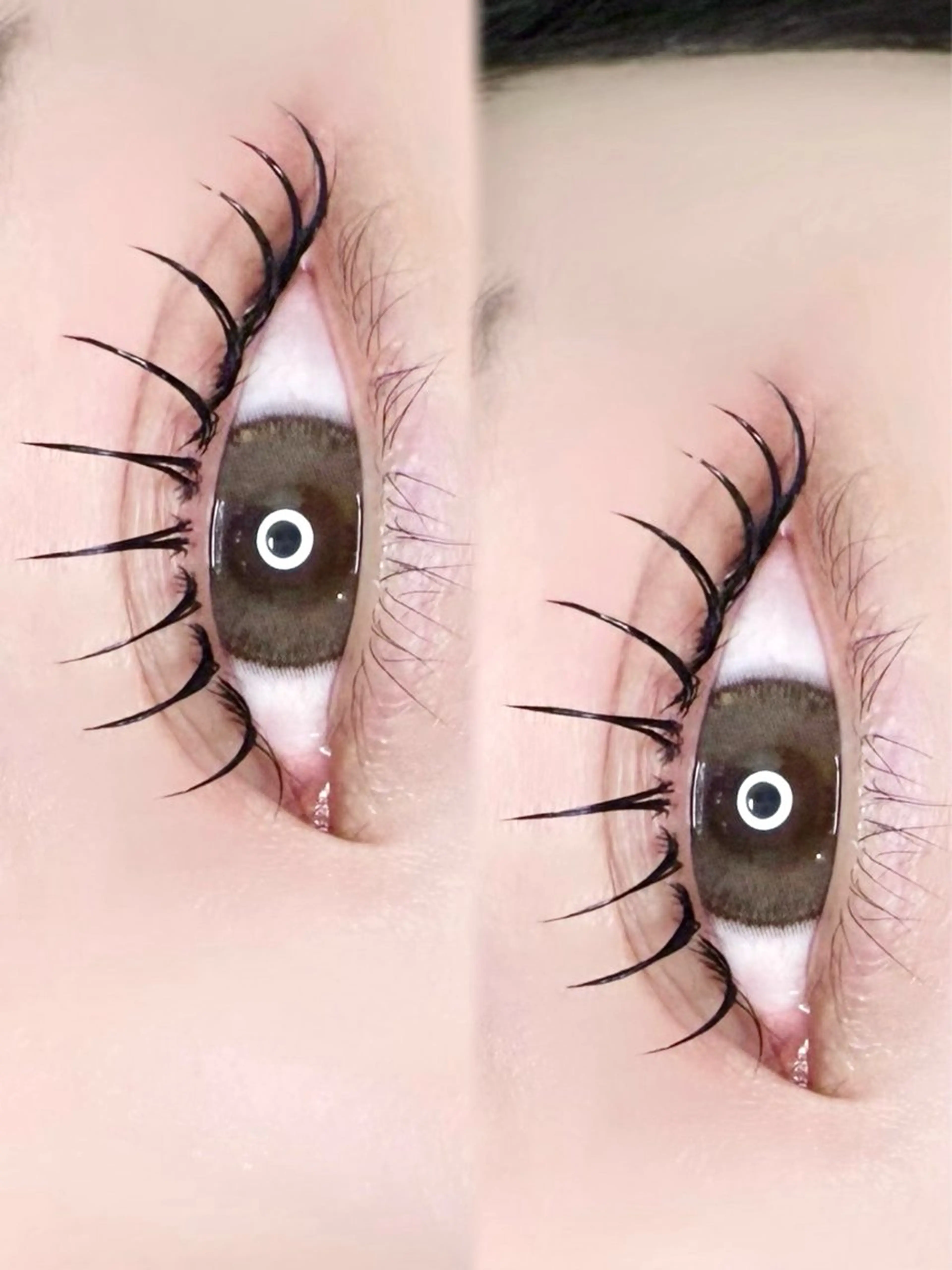 マスカラパーマ🖤 （コーティング仕上げ付き）の写真