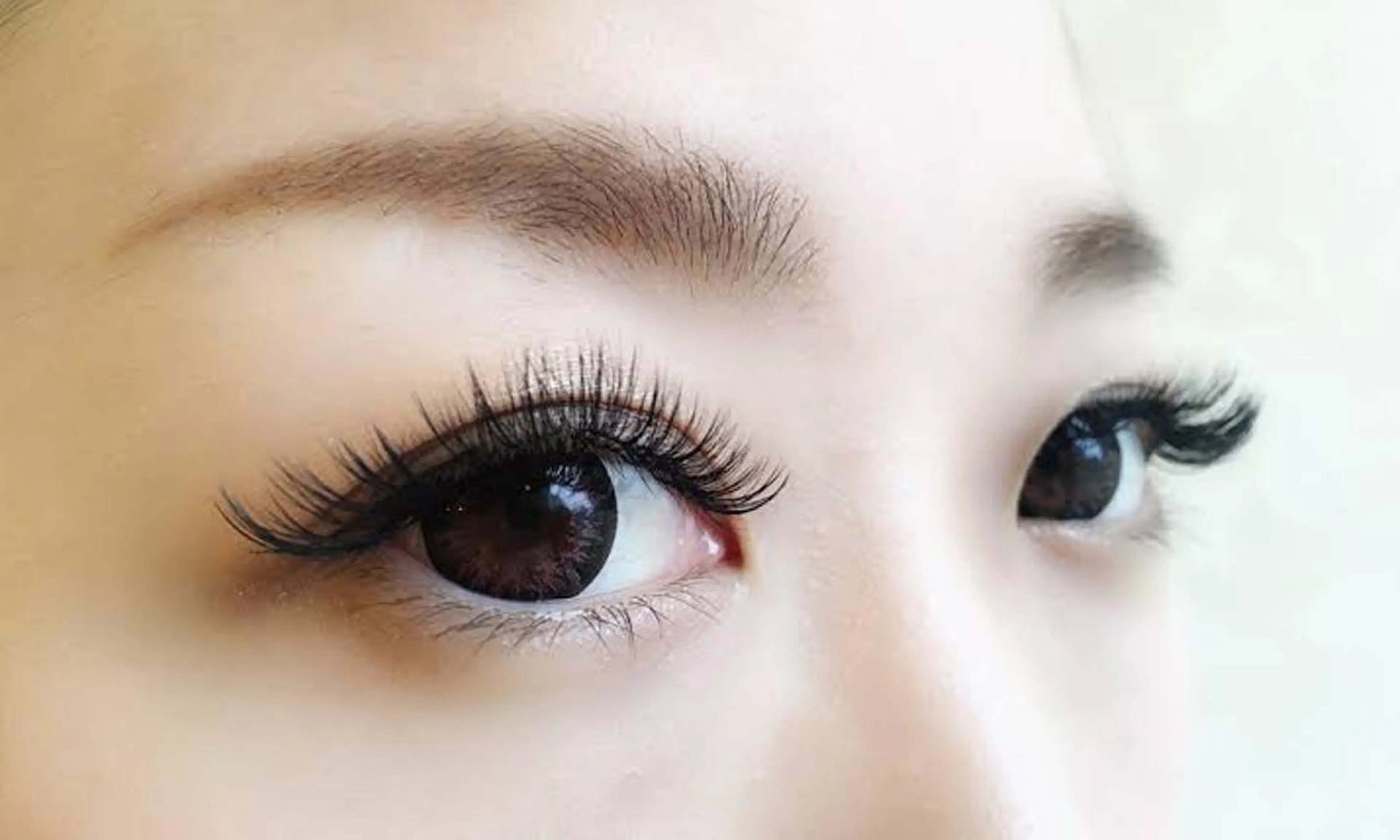 💐Wフラットラッシュ付け放題💐の写真