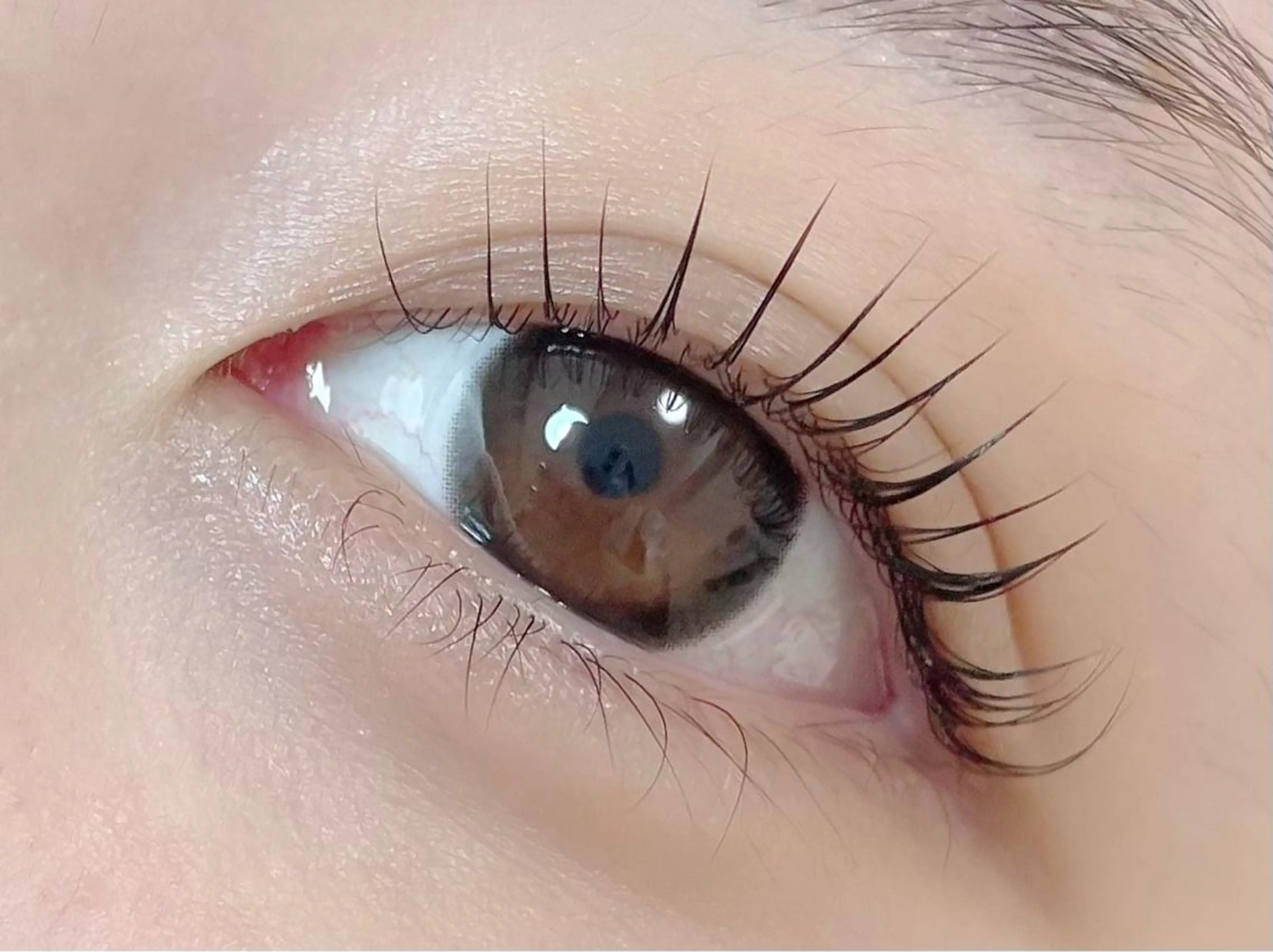 マツエク・マツパ パリジェンヌラッシュリフト plume eyelashのネイルデザイン