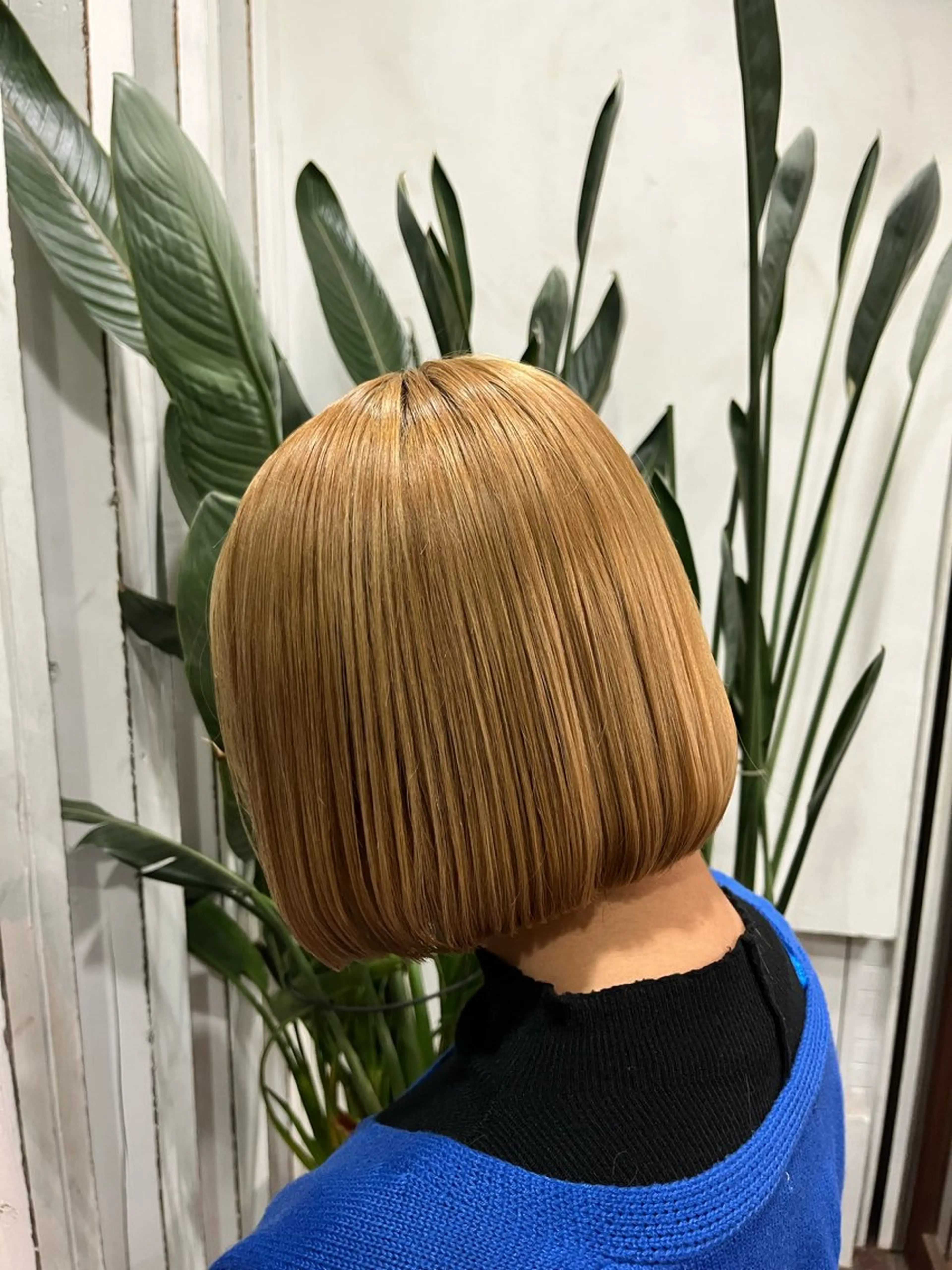 ミディアム カラー インナーカラー 🫧ハイトーン/ ブリーチ🫧白石航汰のヘアスタイル