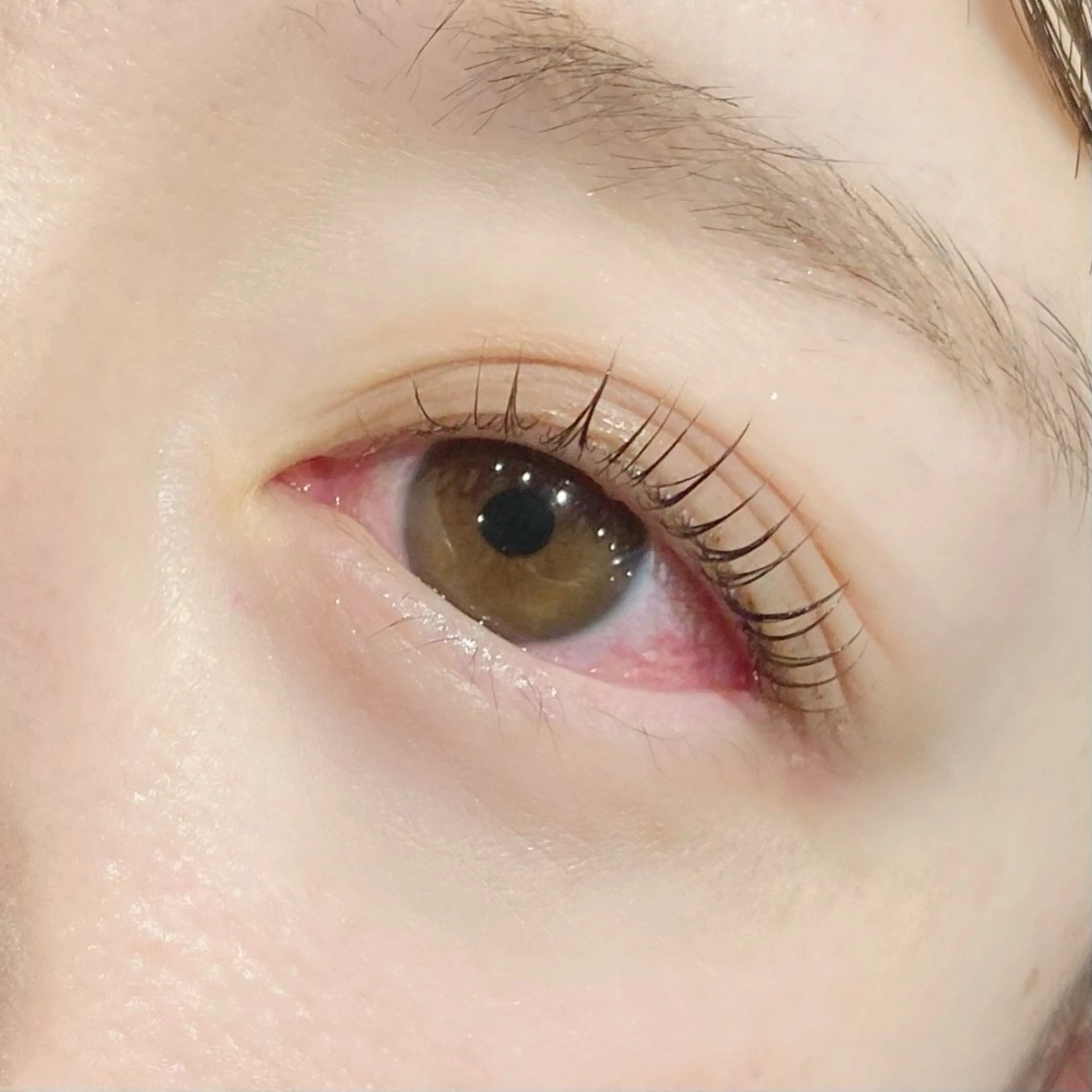 マツエク・マツパ gioia 根津のマツエク・マツパデザイン