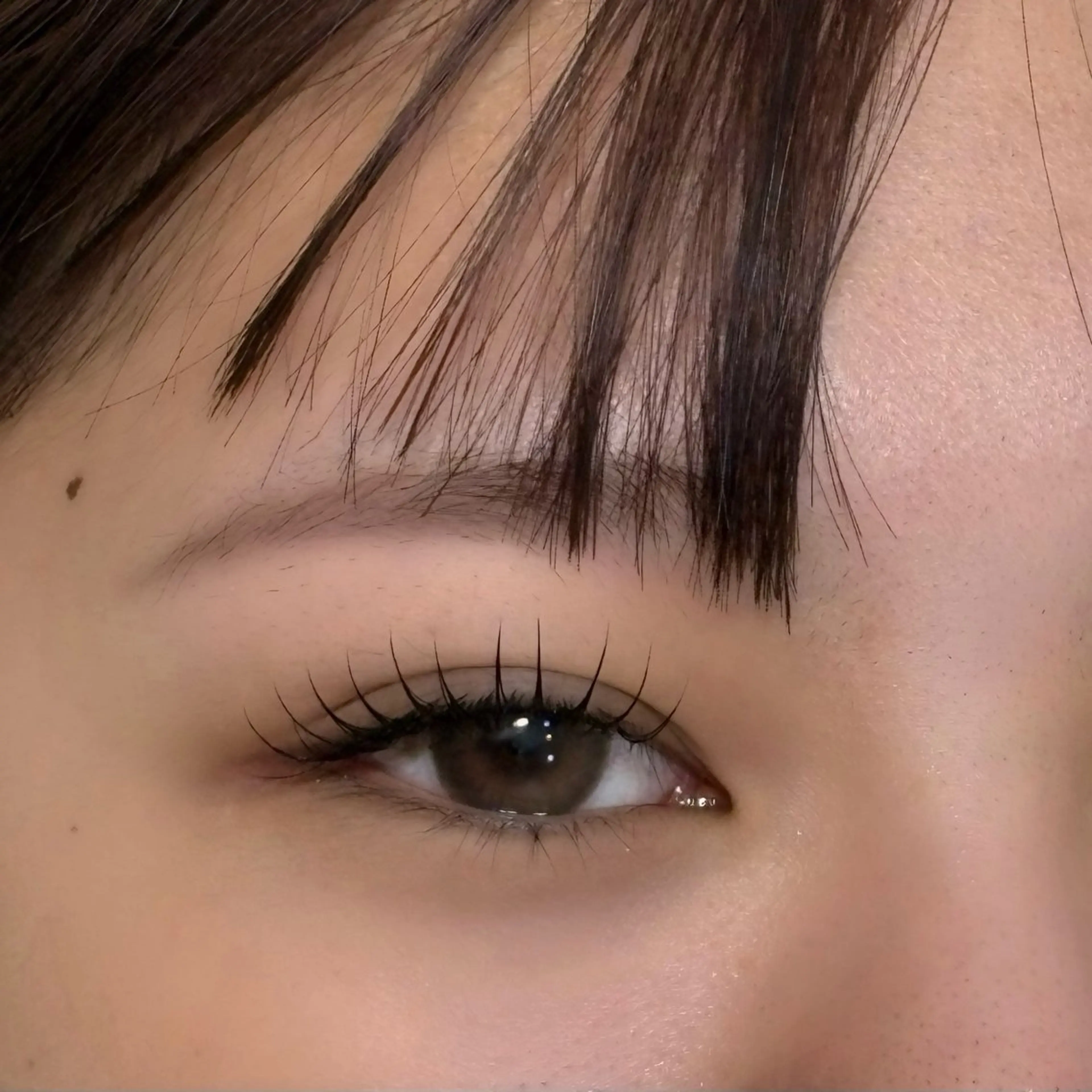 【ミニモ限定　オフあり】LEDエクステ80本🤍の写真