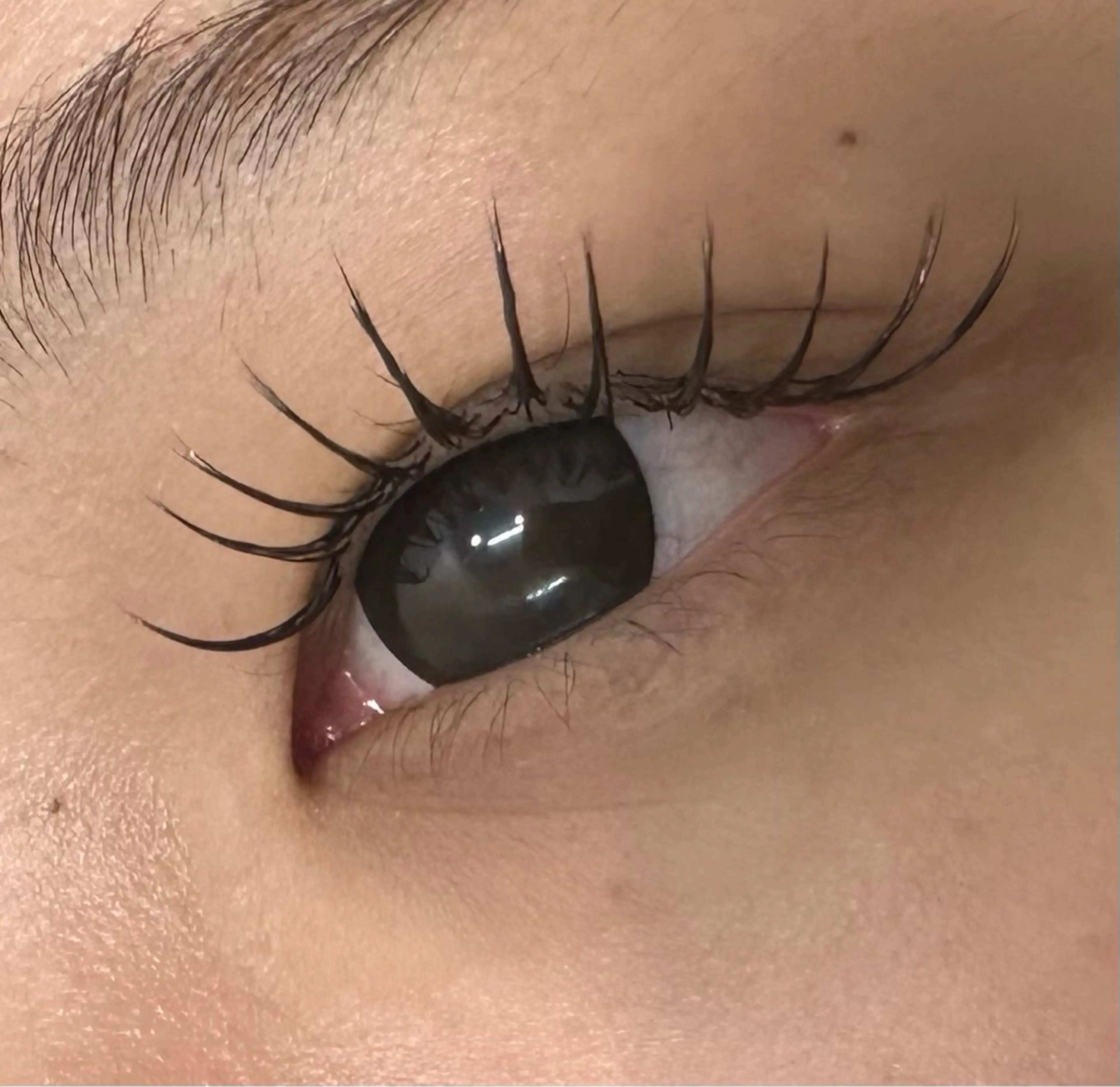 マツエク・マツパ MAQUIA弘前店 工藤のマツエク・マツパデザイン