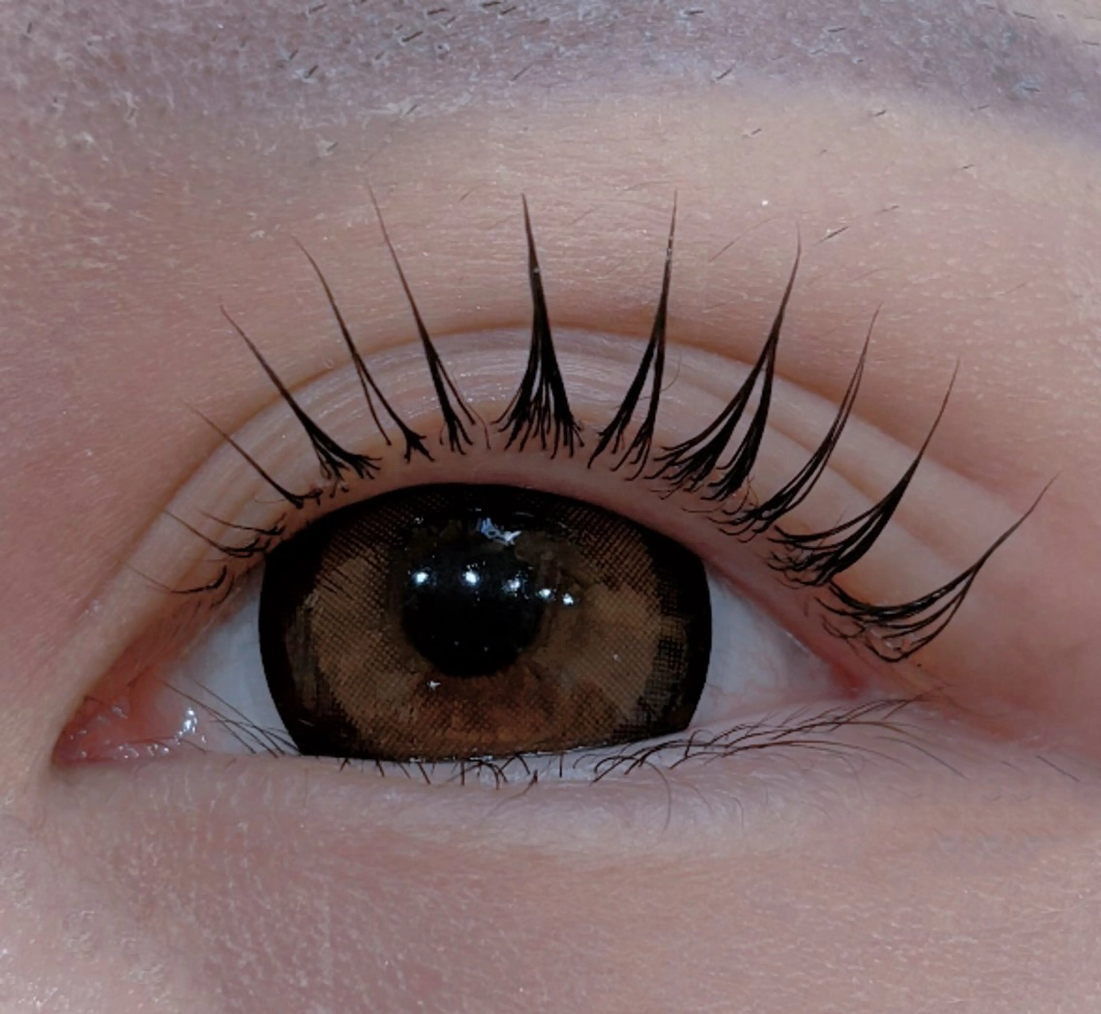 マツエク・マツパ マツパ EMA BEAUTY マツエクサロン池袋店のマツエク・マツパデザイン