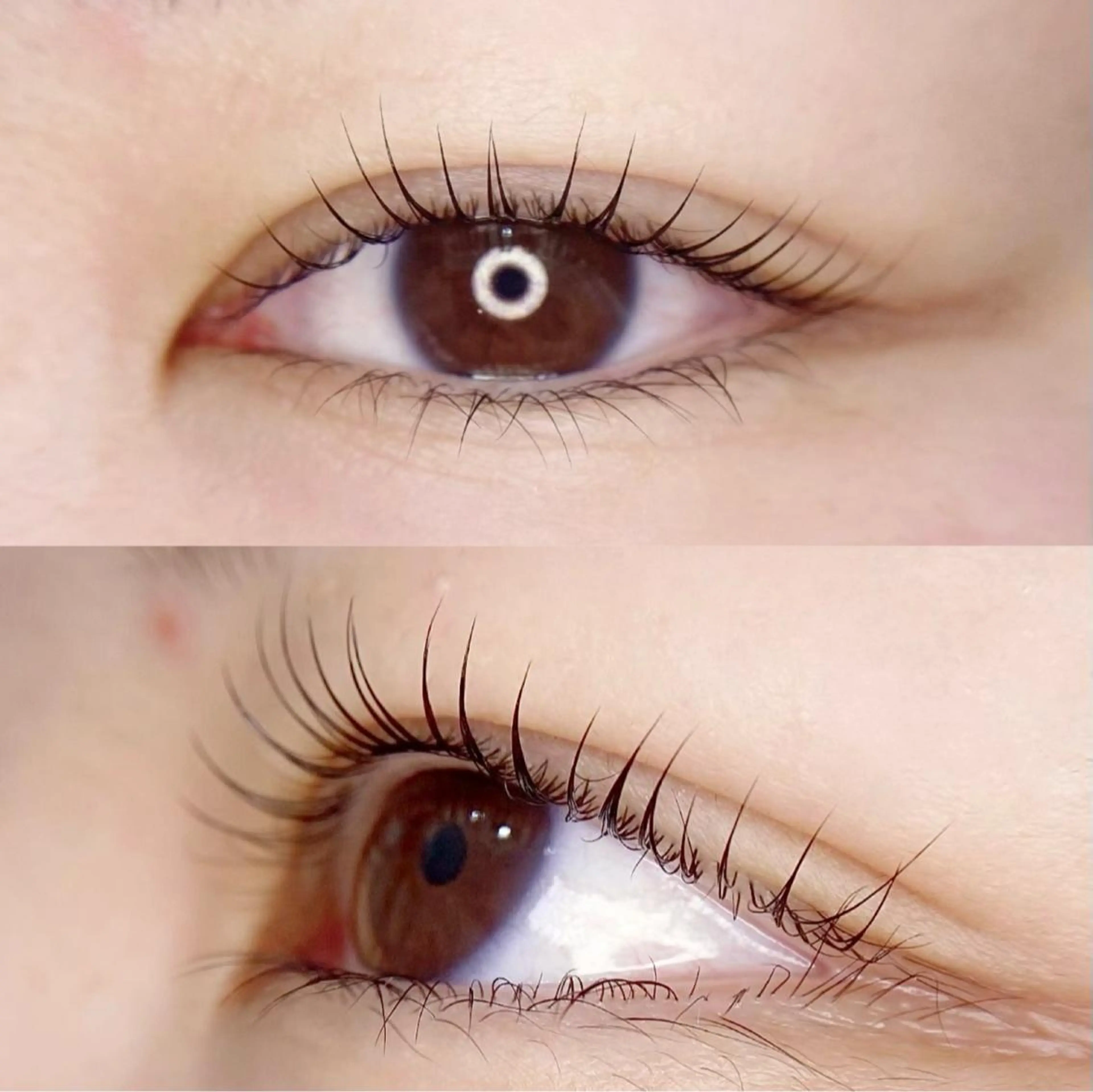 マツエク・マツパ Rabbit hagaのマツエク・マツパデザイン