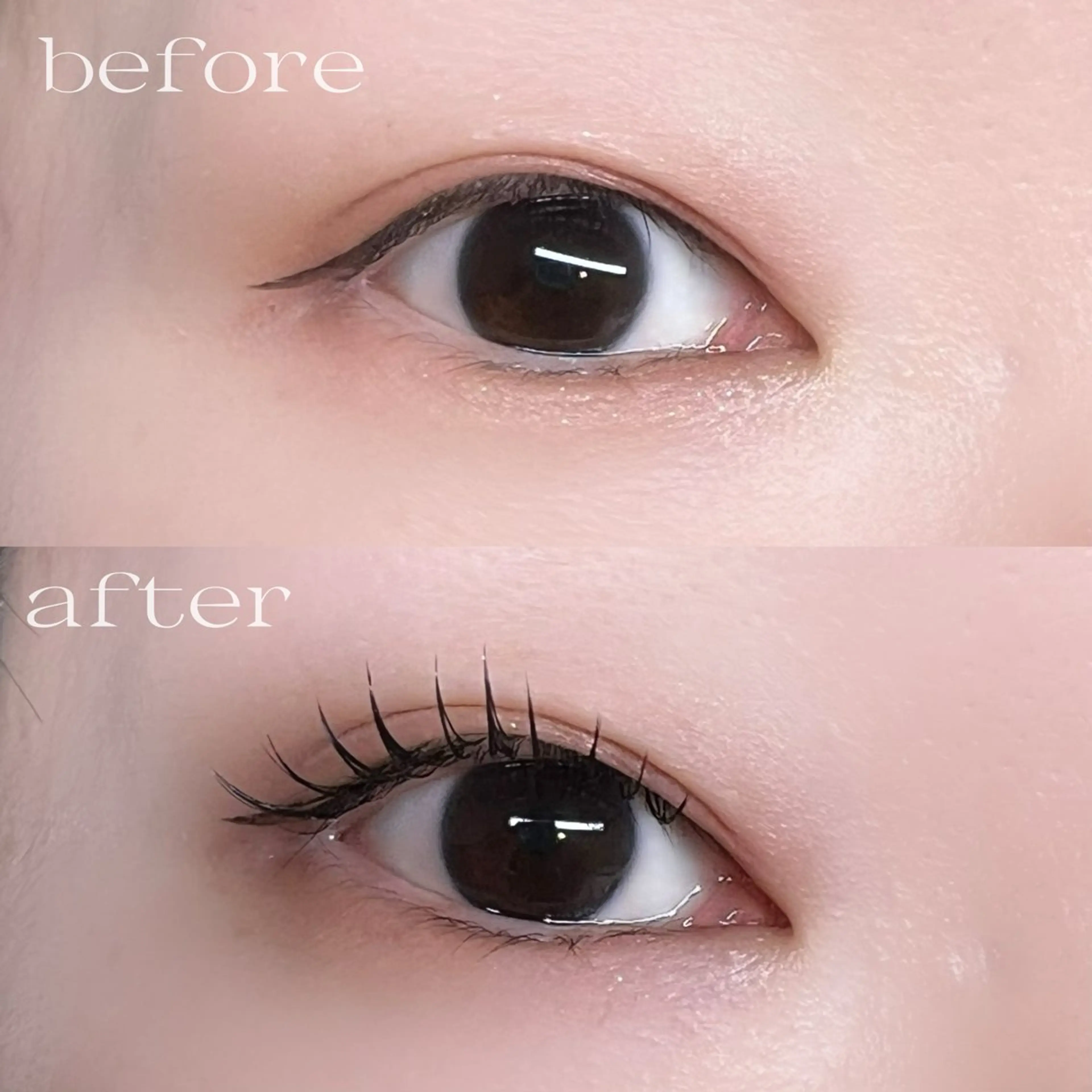 solbiご新規🤍初回オフ無料！フラットラッシュ100本の写真