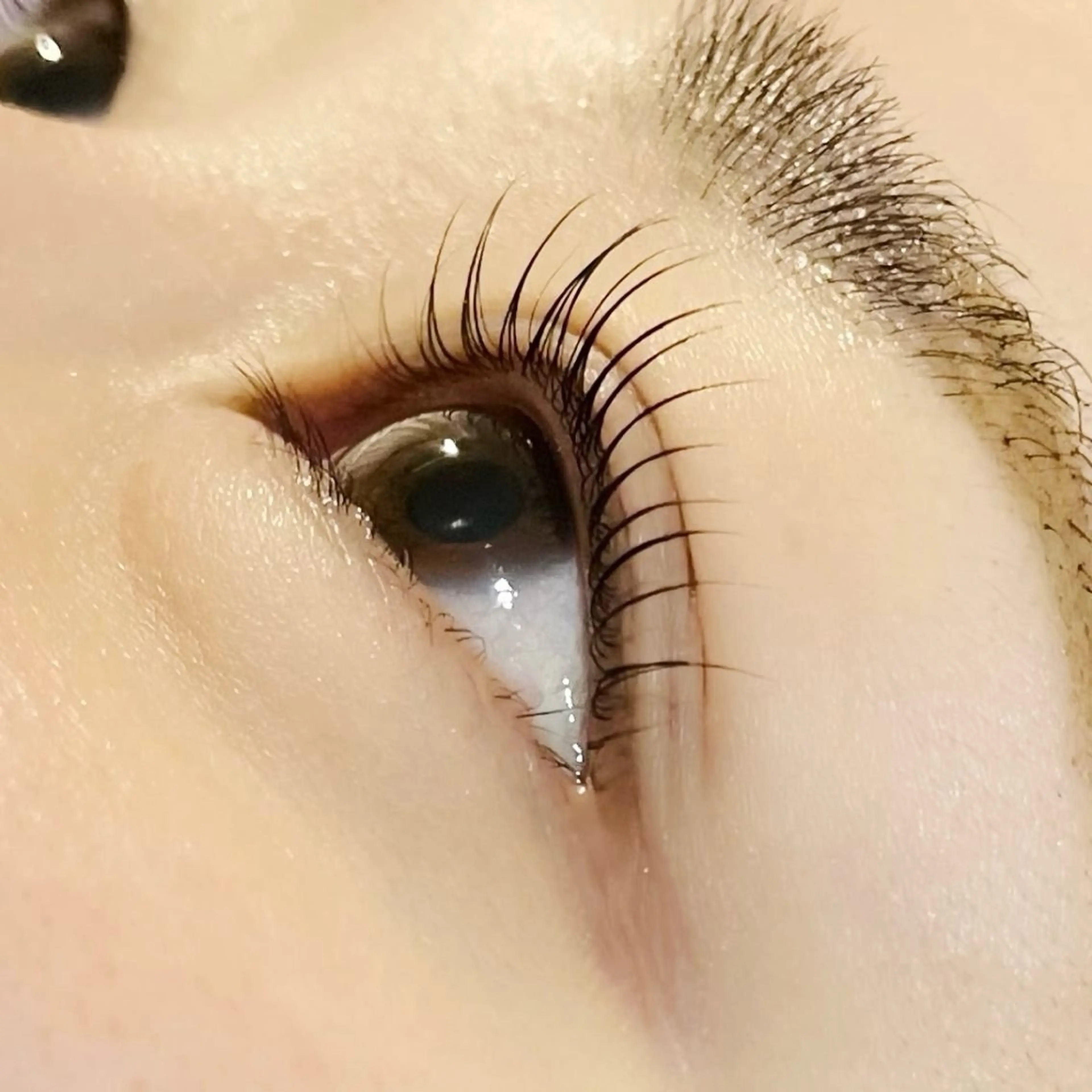 マツエク・マツパ マホ🐾 peep 蟹江店のマツエク・マツパデザイン