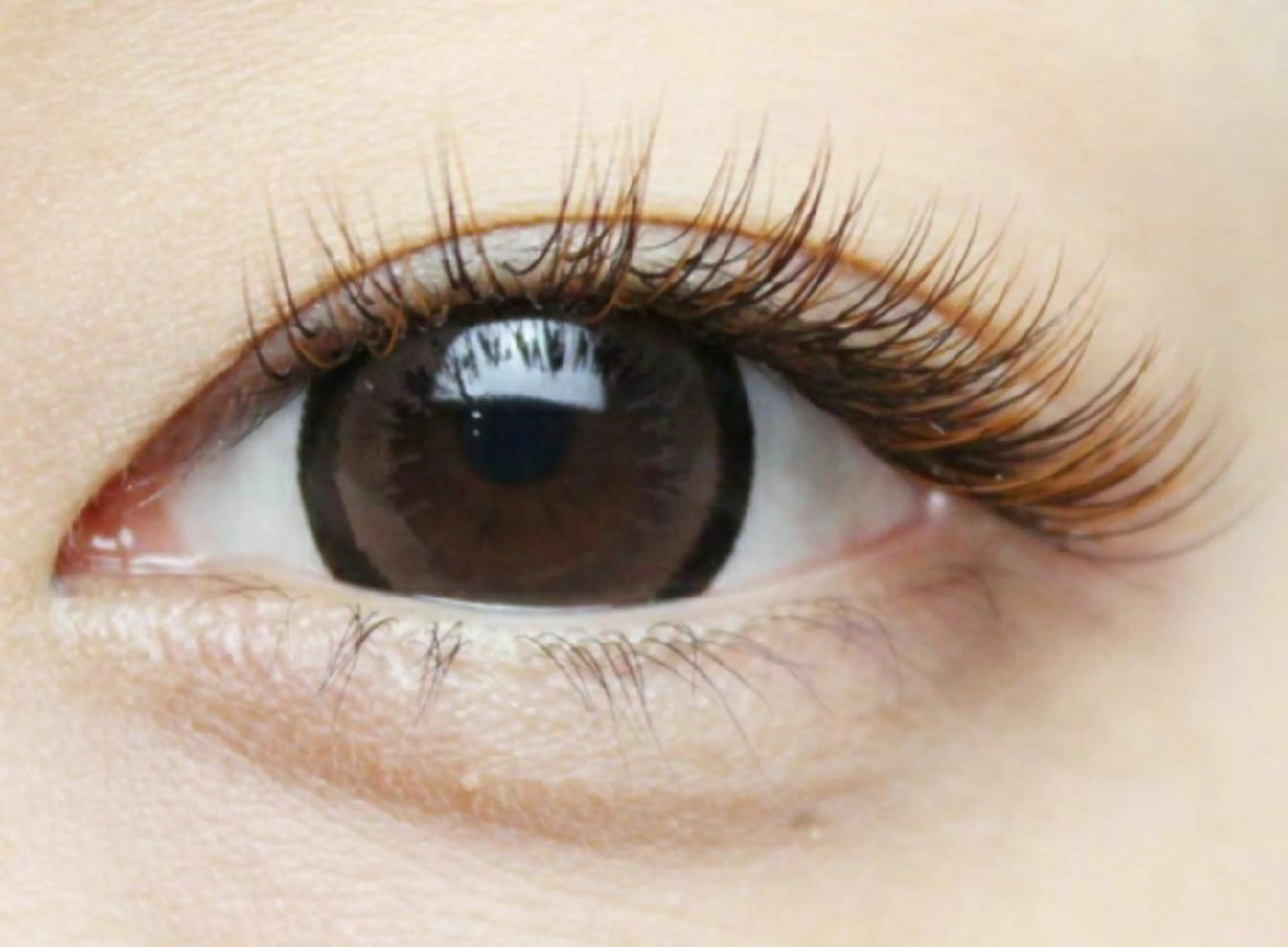 マツエク・マツパ Lereve 三宮店所属・Lereve .三宮店のエステ・リラクイメージ