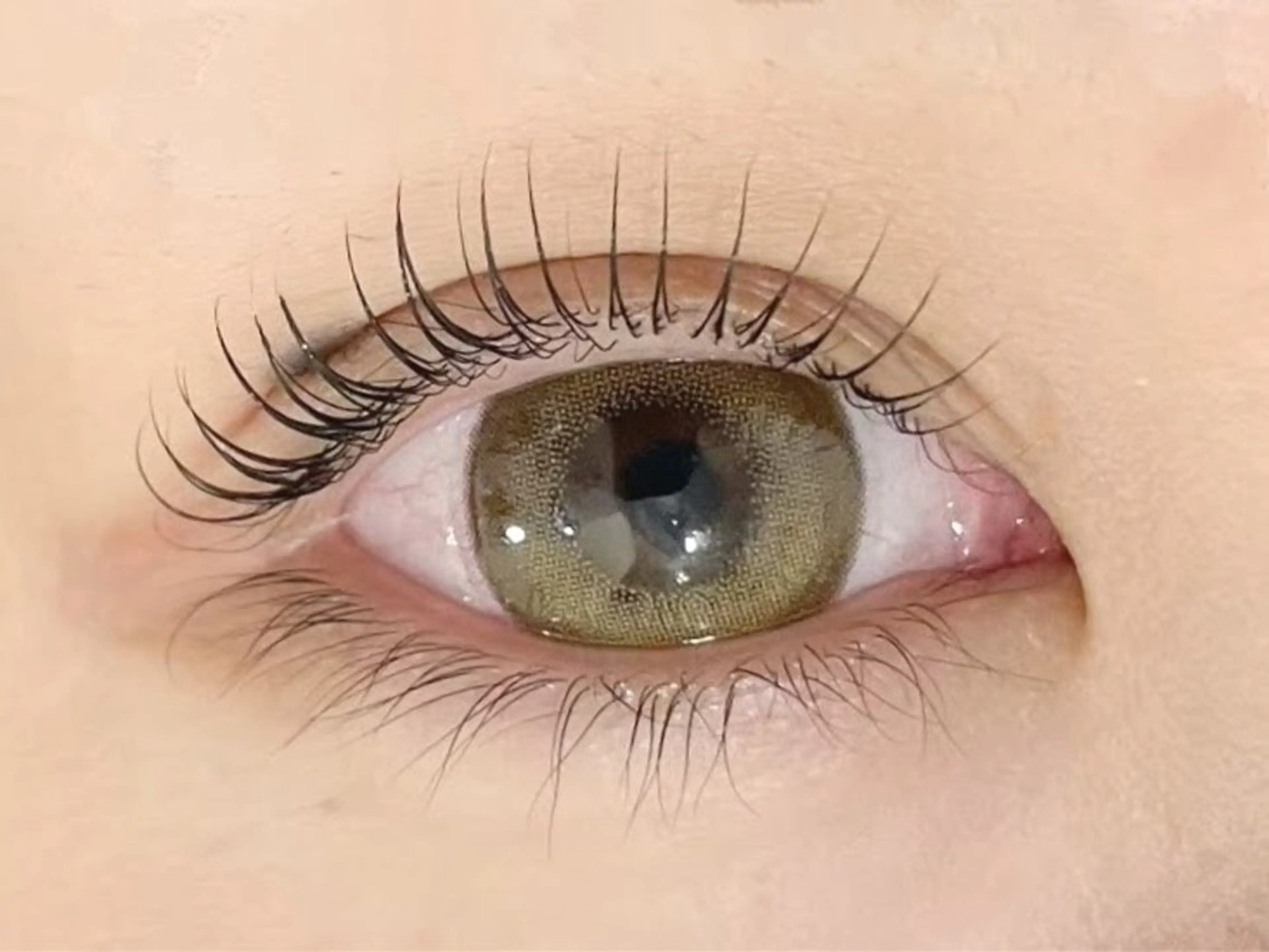 ⭐まつ毛パーマorパリジェンヌ🧚ミニモ限定/オフ無し限定💜の写真