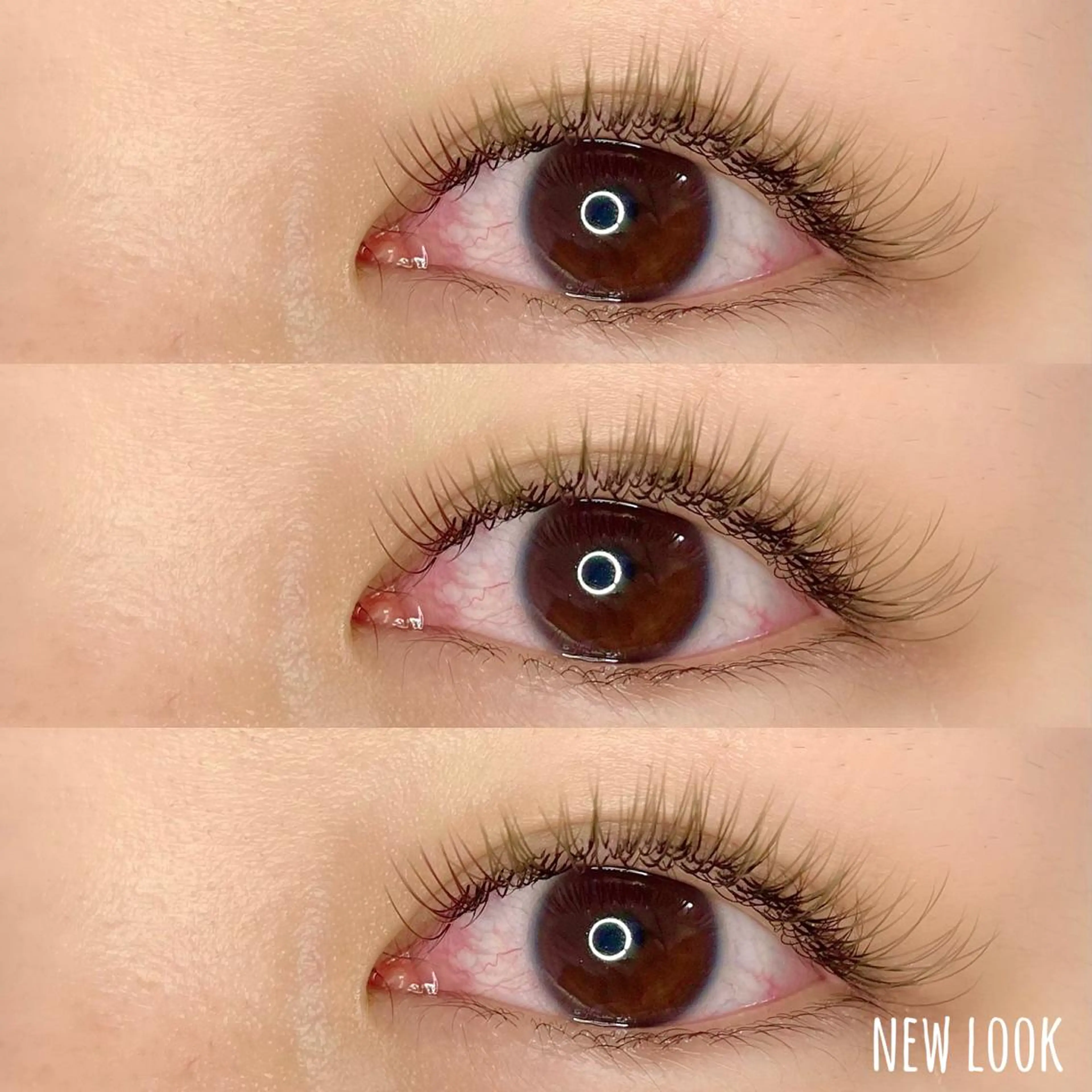 マツエク・マツパ マツエク NEW LOOKのマツエク・マツパデザイン