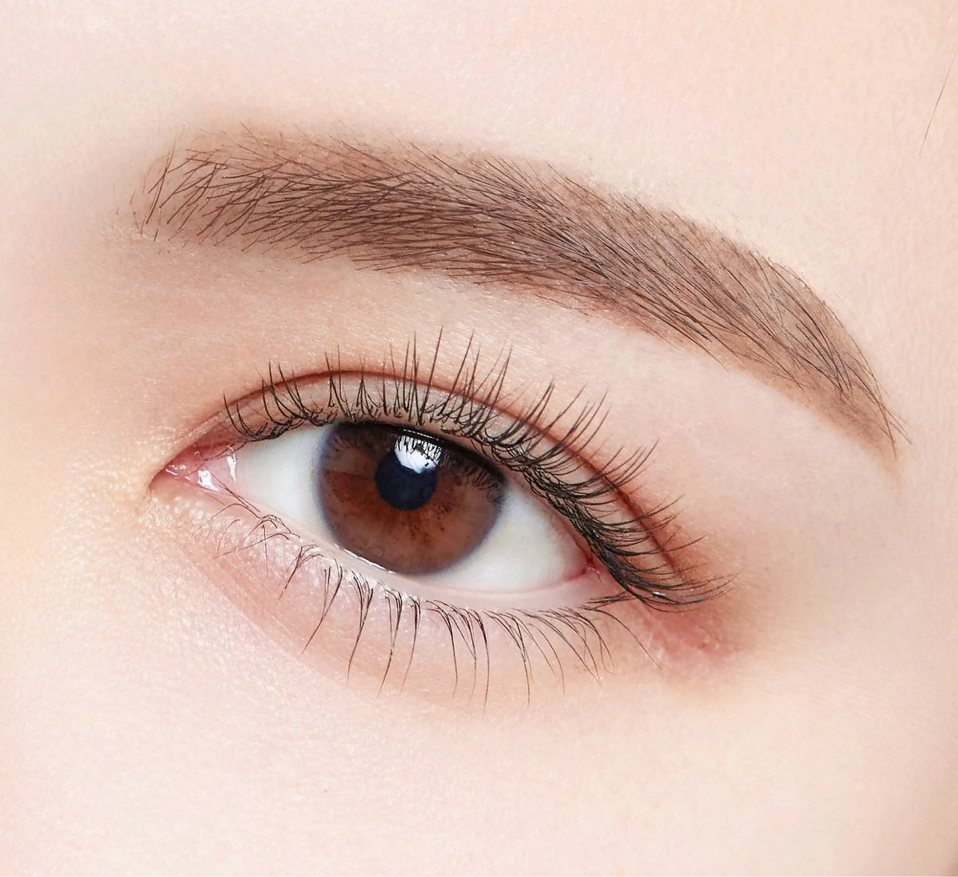 【逆まつ毛解消✨】下まつげパーマ🪞💗の写真