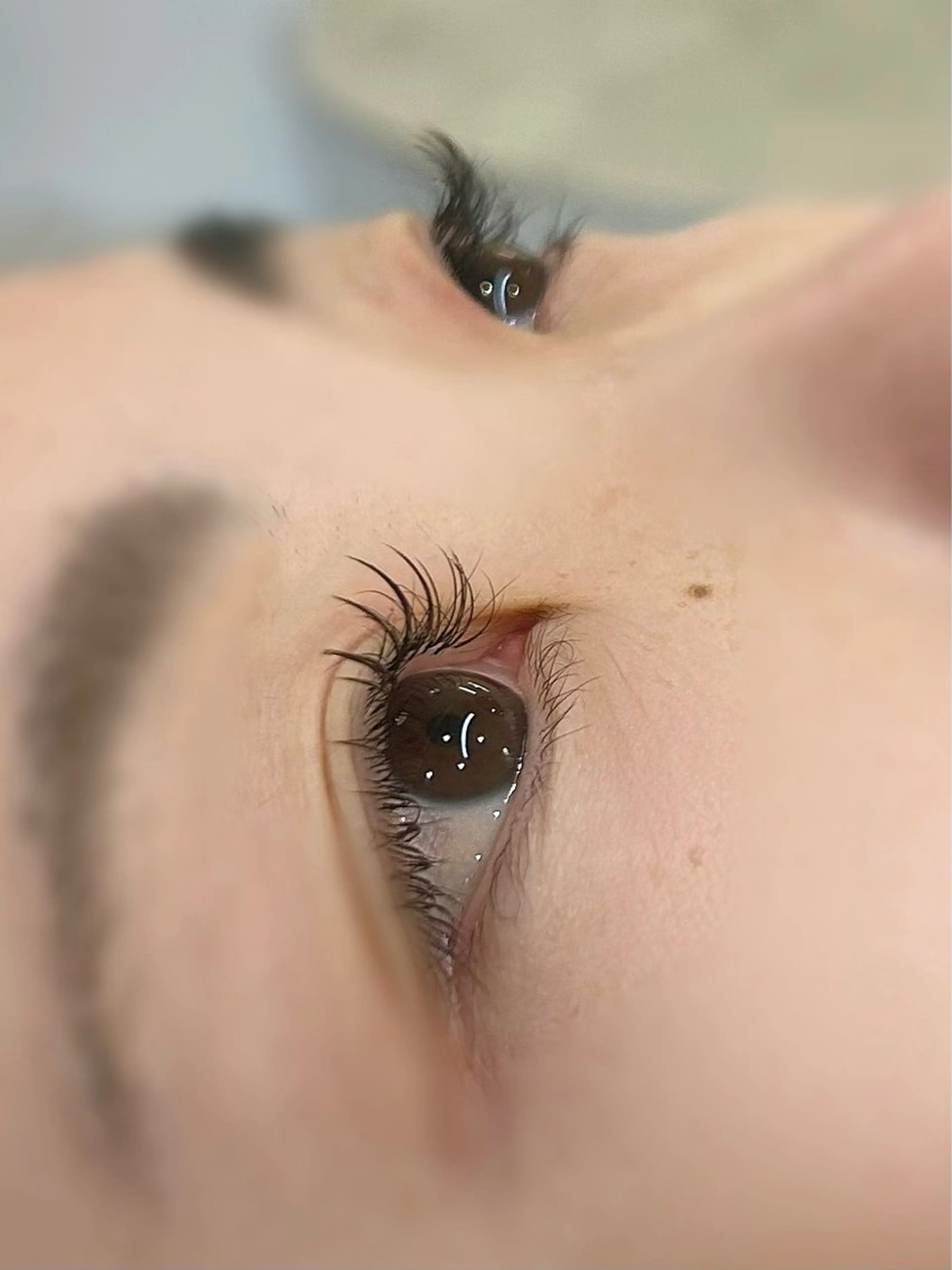 付けたしフラットラッシュ40​〜​100本までの写真