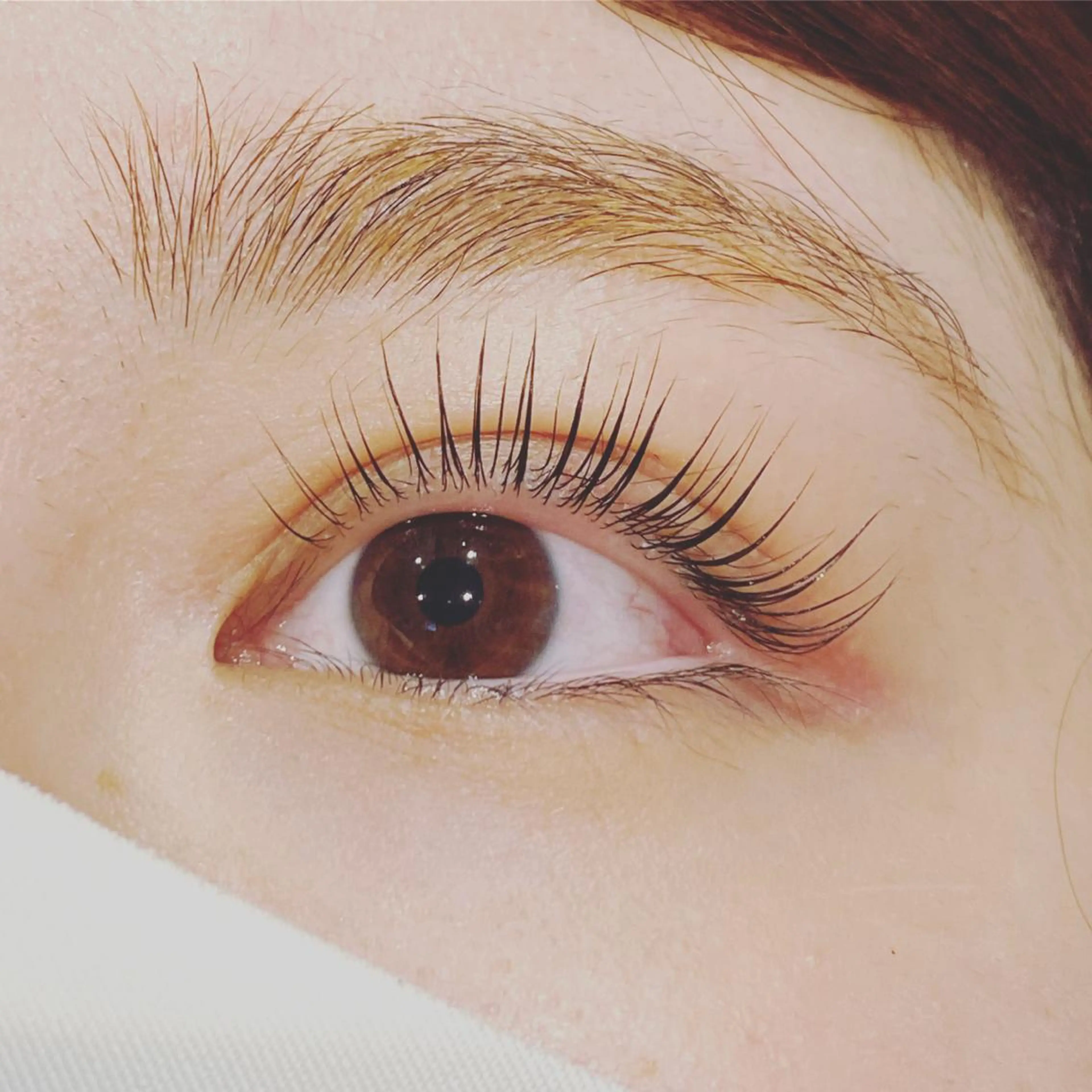 マツエク・マツパ パリジェンヌラッシュリフト EYE CHARMANTのマツエク・マツパデザイン