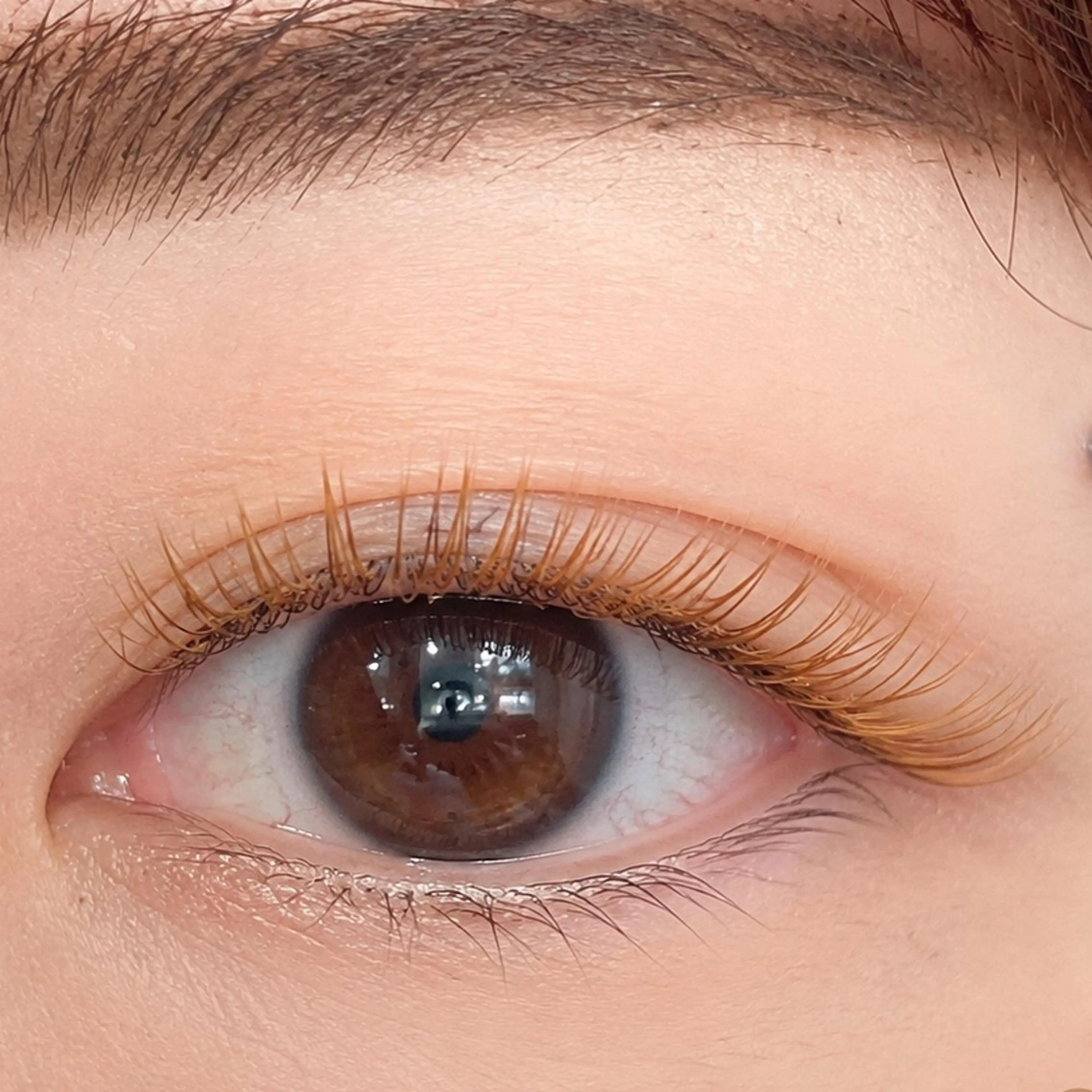 マツエク・マツパ マツエク eyelash___ hashimotoのマツエク・マツパデザイン