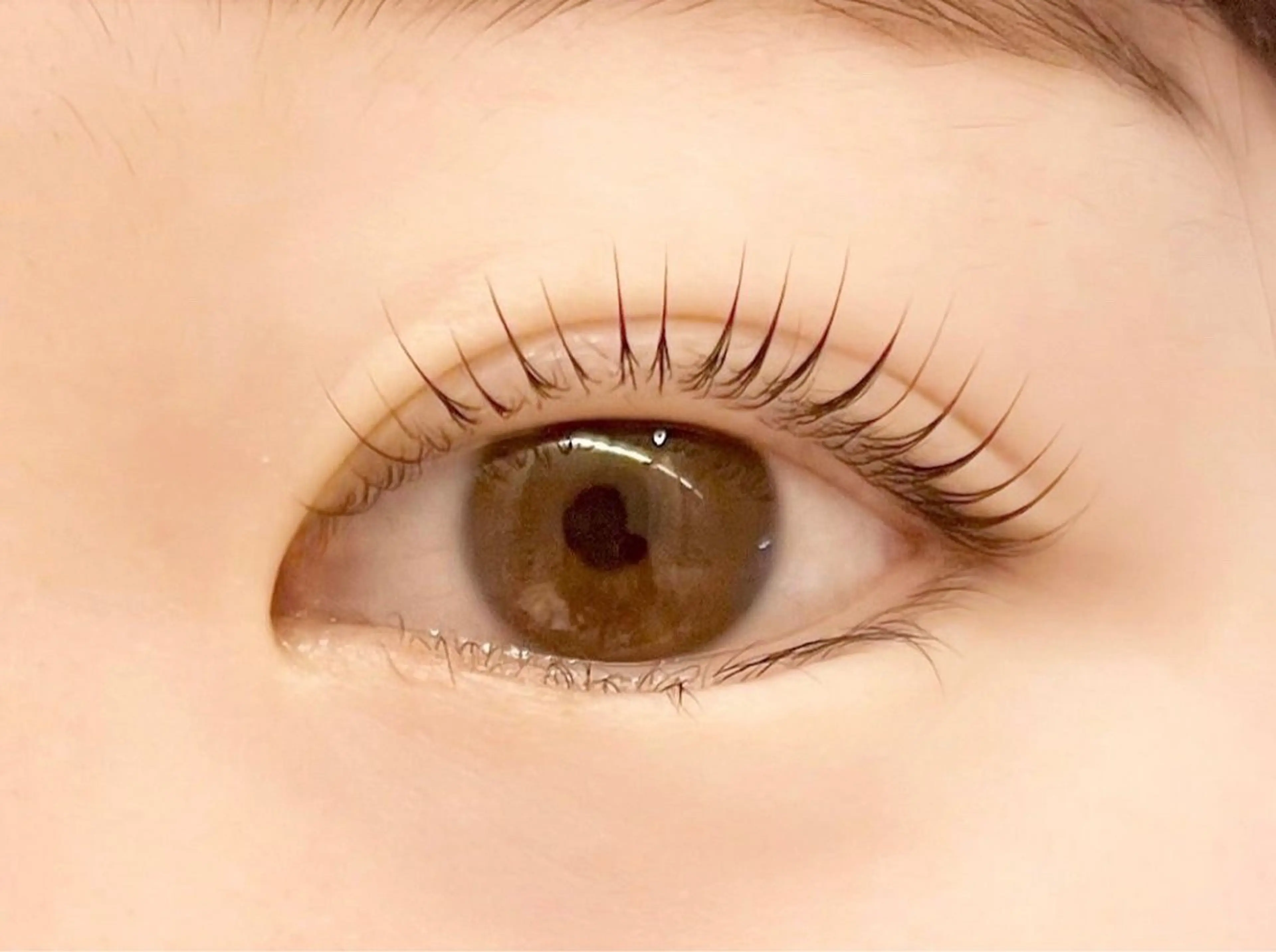 人気No1🌈パリジェンヌラッシュリフト🇫🇷の写真