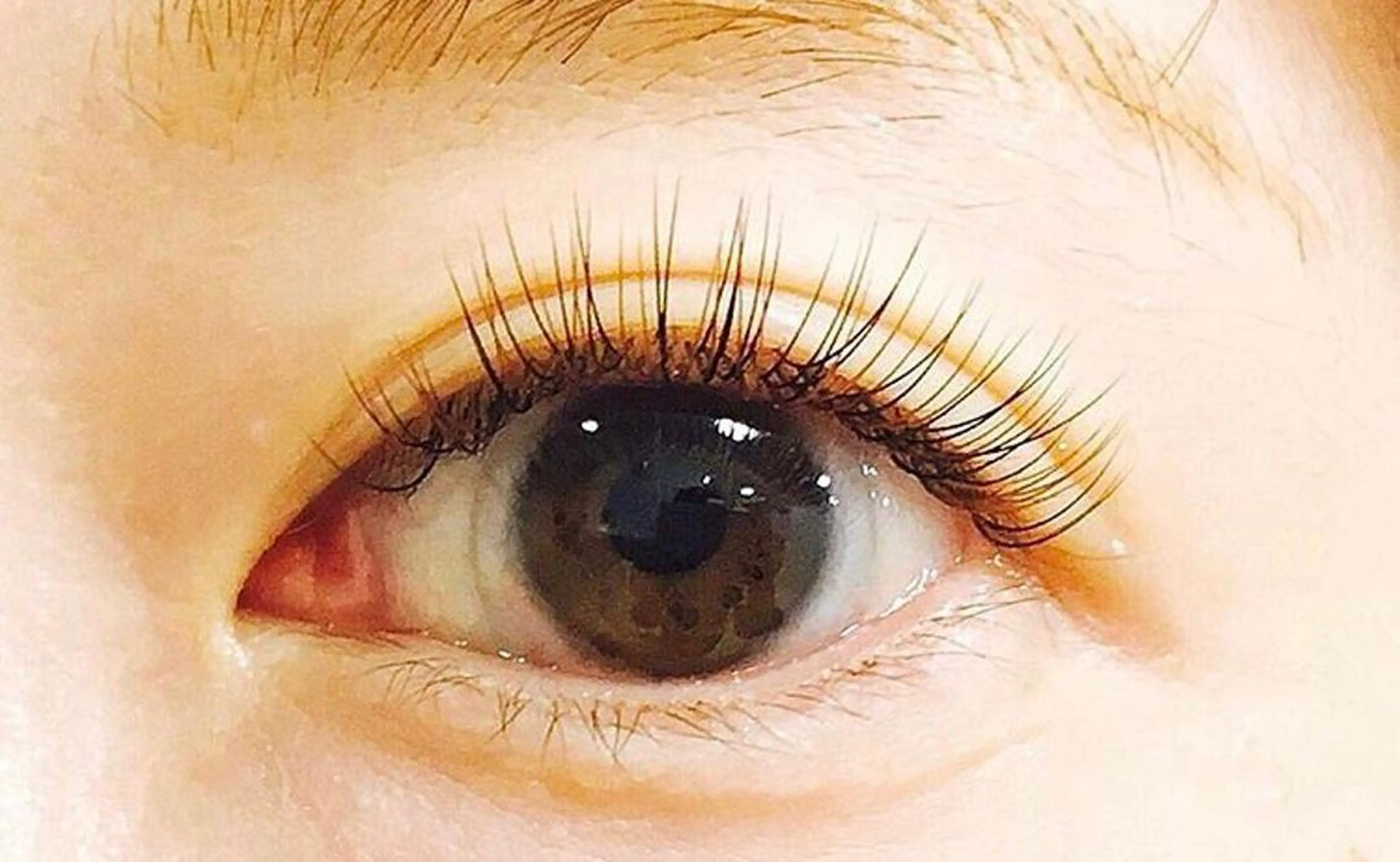 マツエク・マツパ マツエク Koa eyelash所属・eyelist🌷 yamakawaのマツエク・マツパデザイン