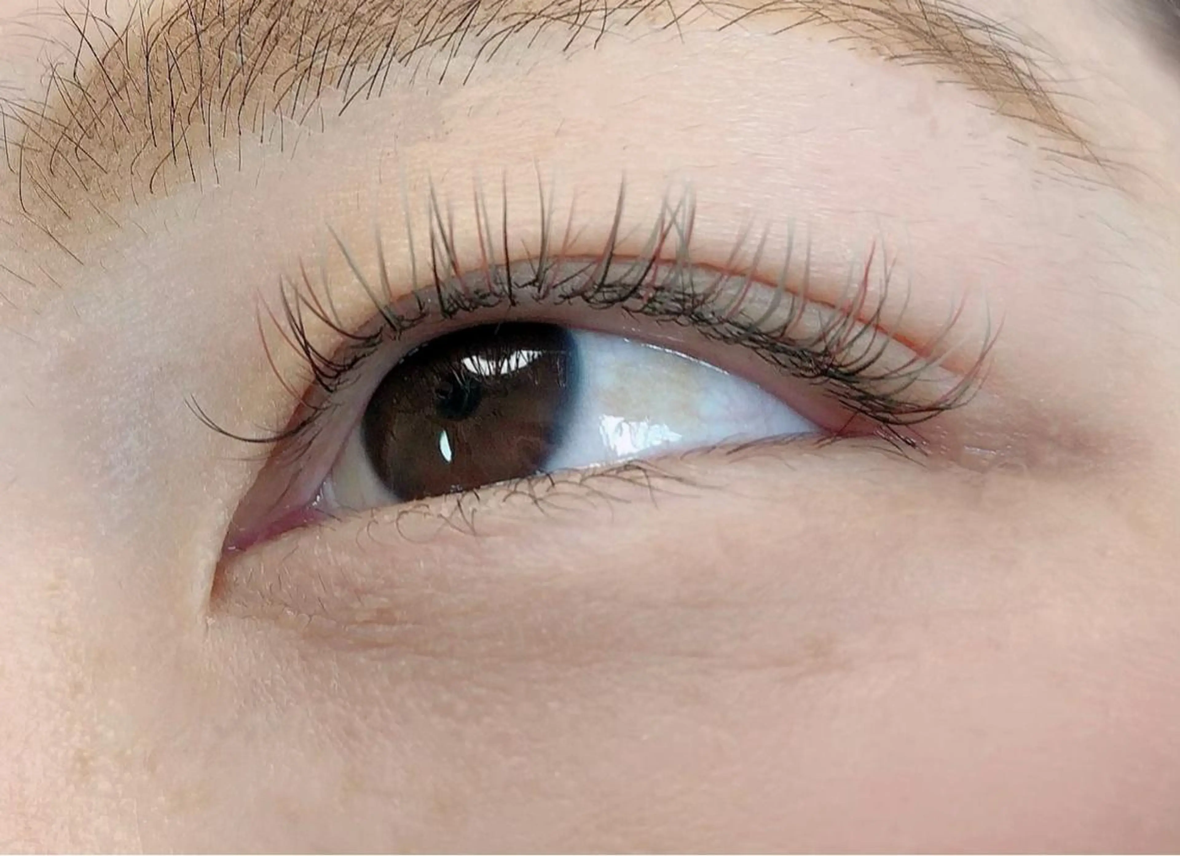 カラー マツエク・マツパ K&E lashe /大垣 まつ毛、眉毛のマツエク・マツパデザイン