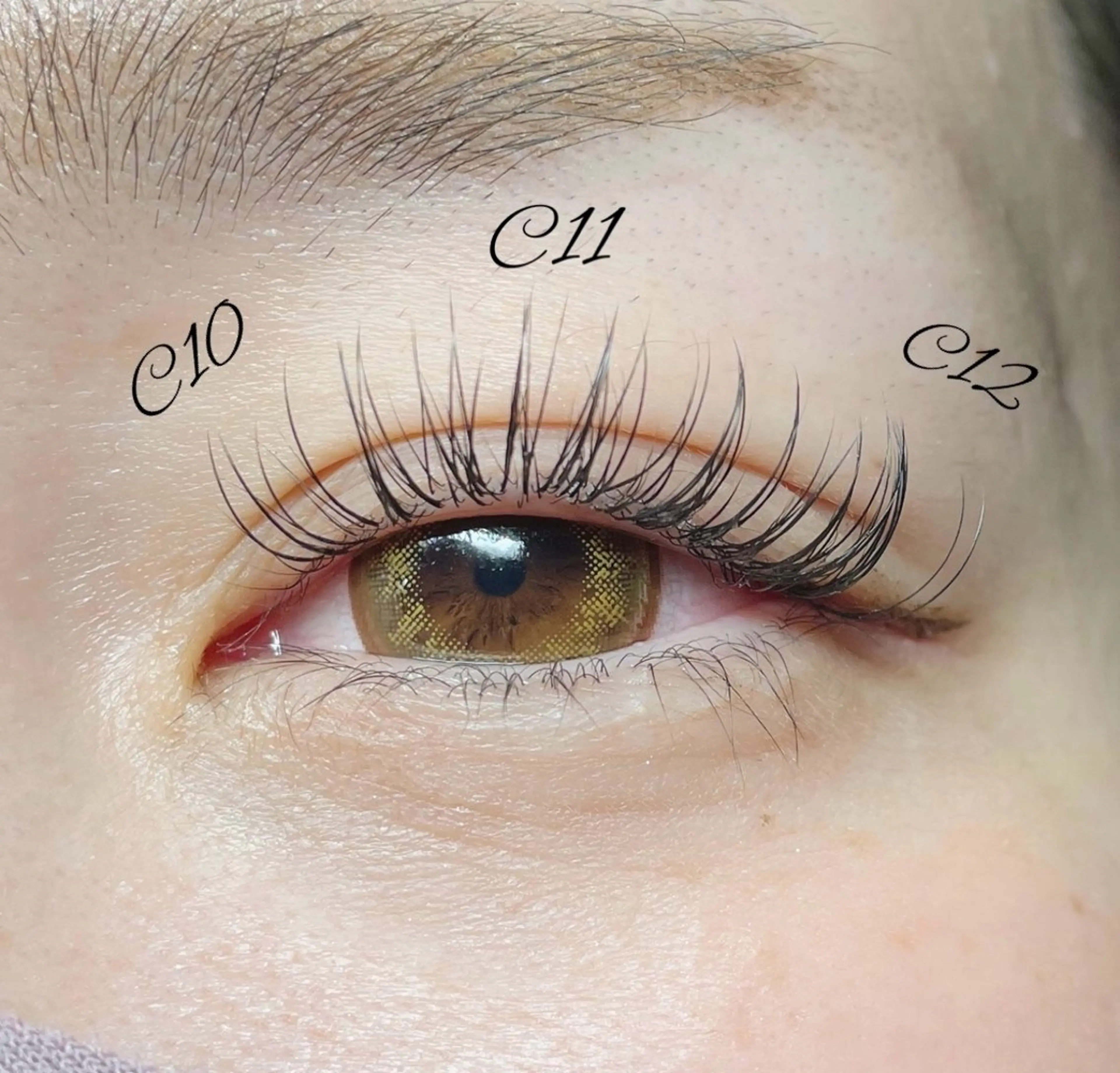 【ミニモ特別価格‼️】高持続Wフラットラッシュ80本(オフ込み)の写真