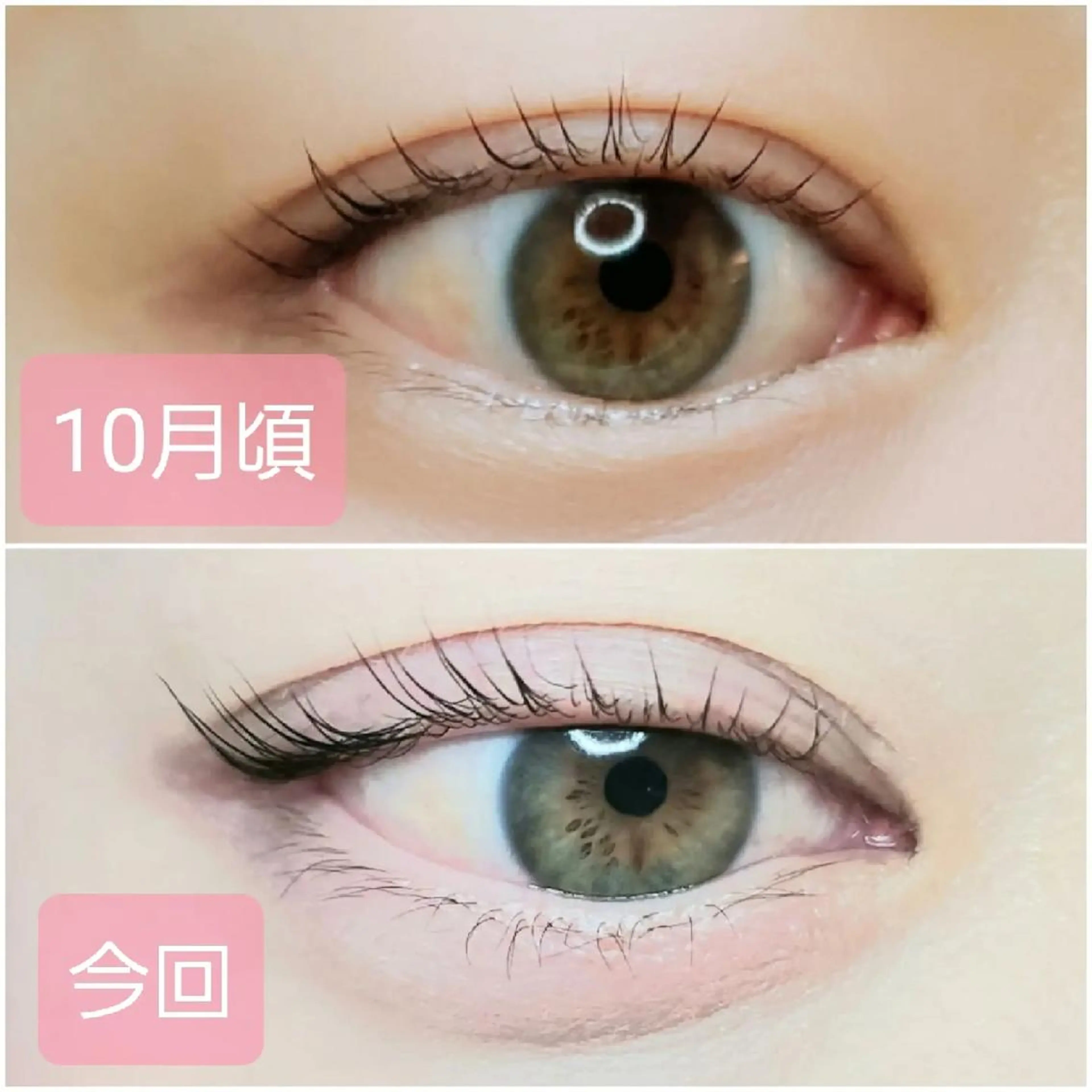 マツエク・マツパ 一重×まつ毛パーマ RICOA 酒井のマツエク・マツパデザイン