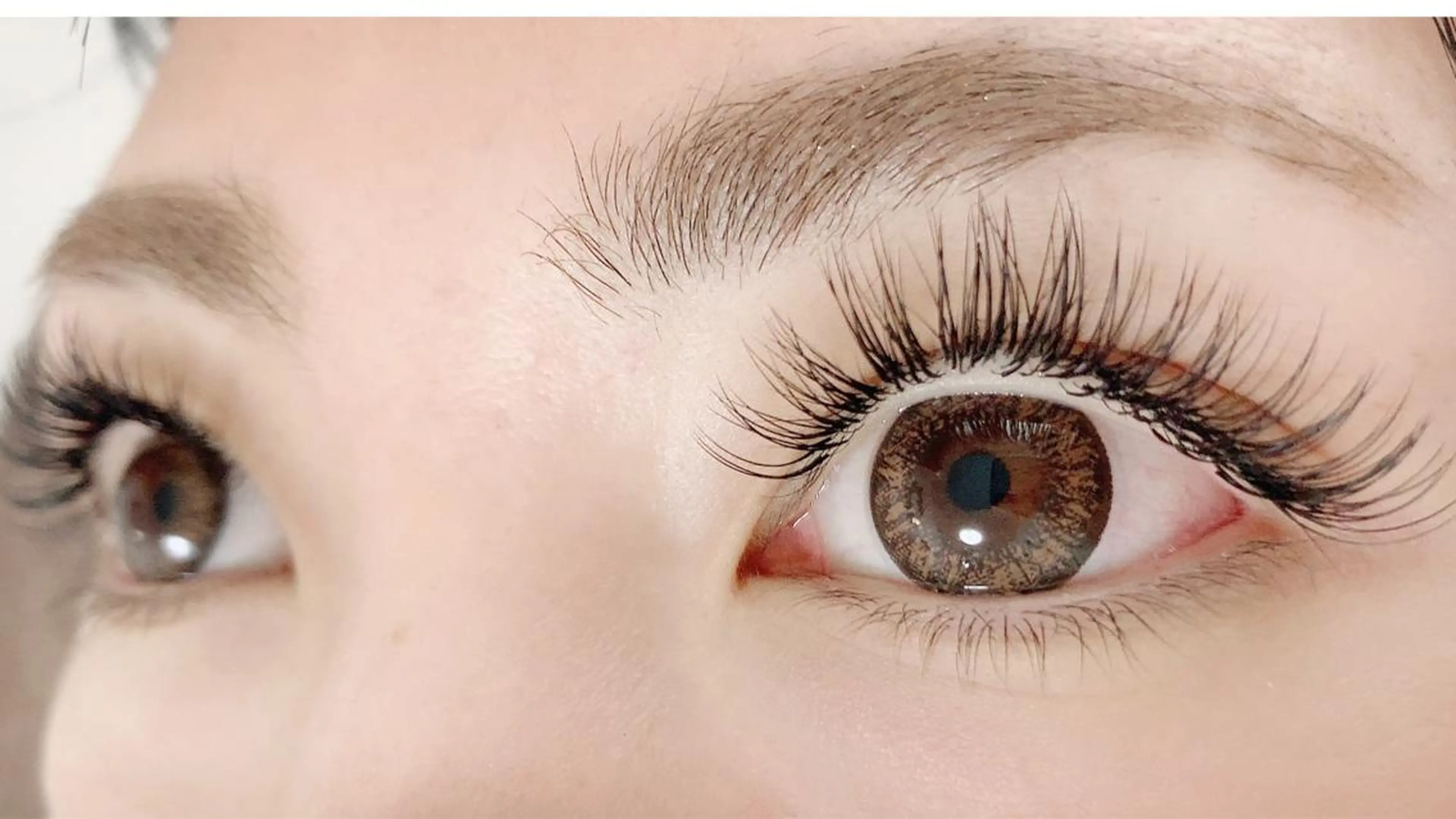 シングルラッシュつけ放題(オフ込み)美容液&コーティング付きの写真